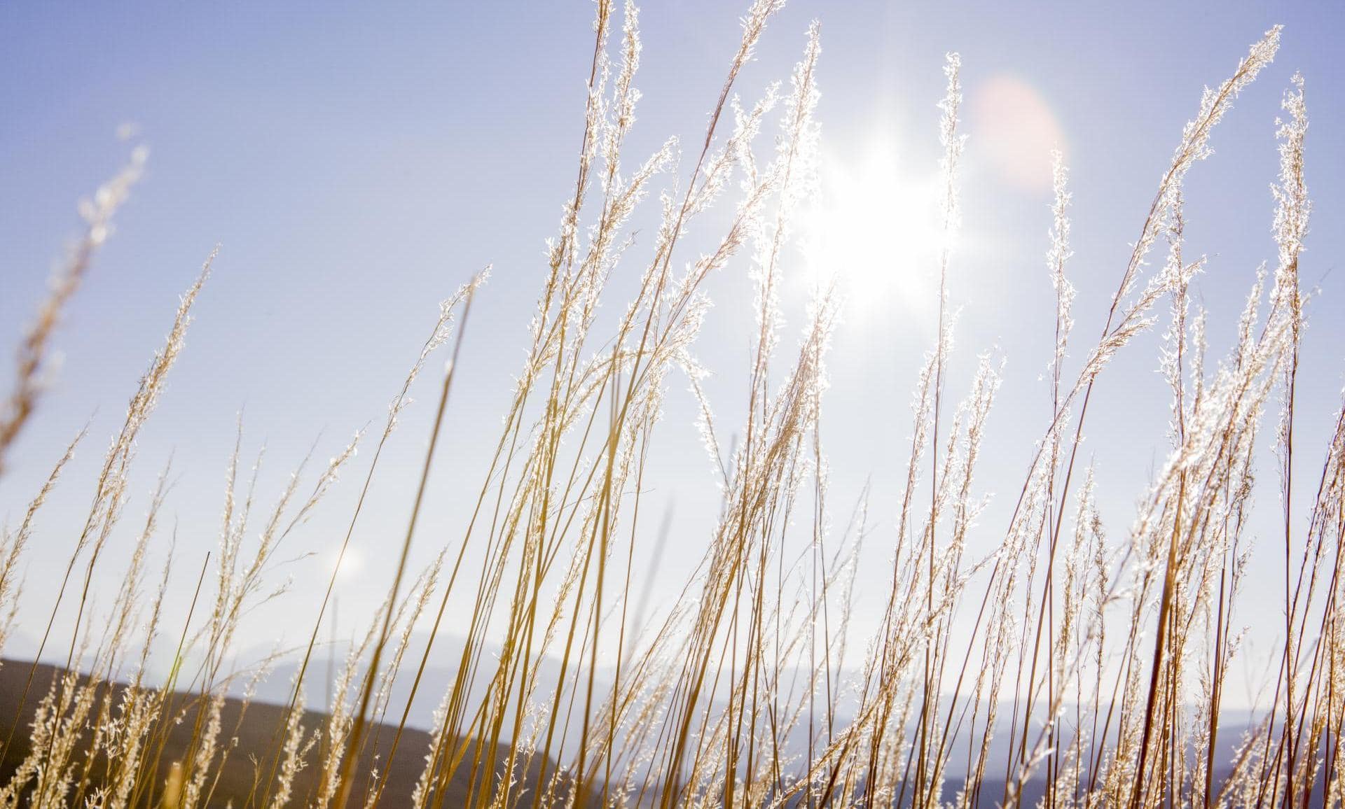 La Bastide de Moustiers