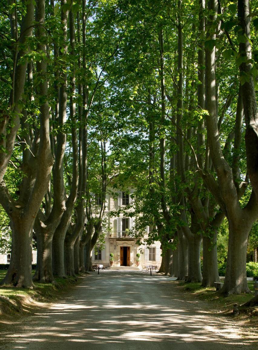 Château des Alpilles