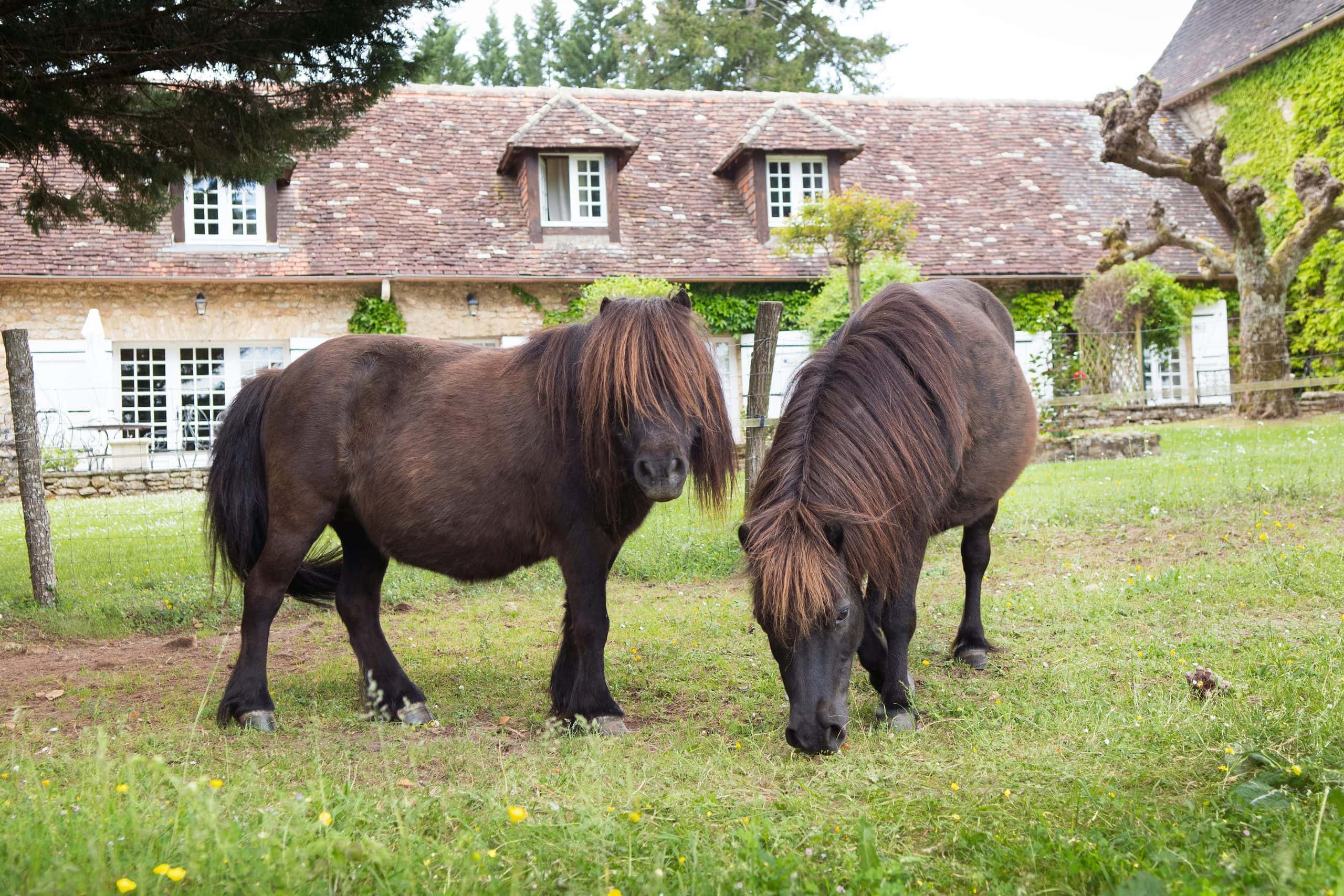La Métairie