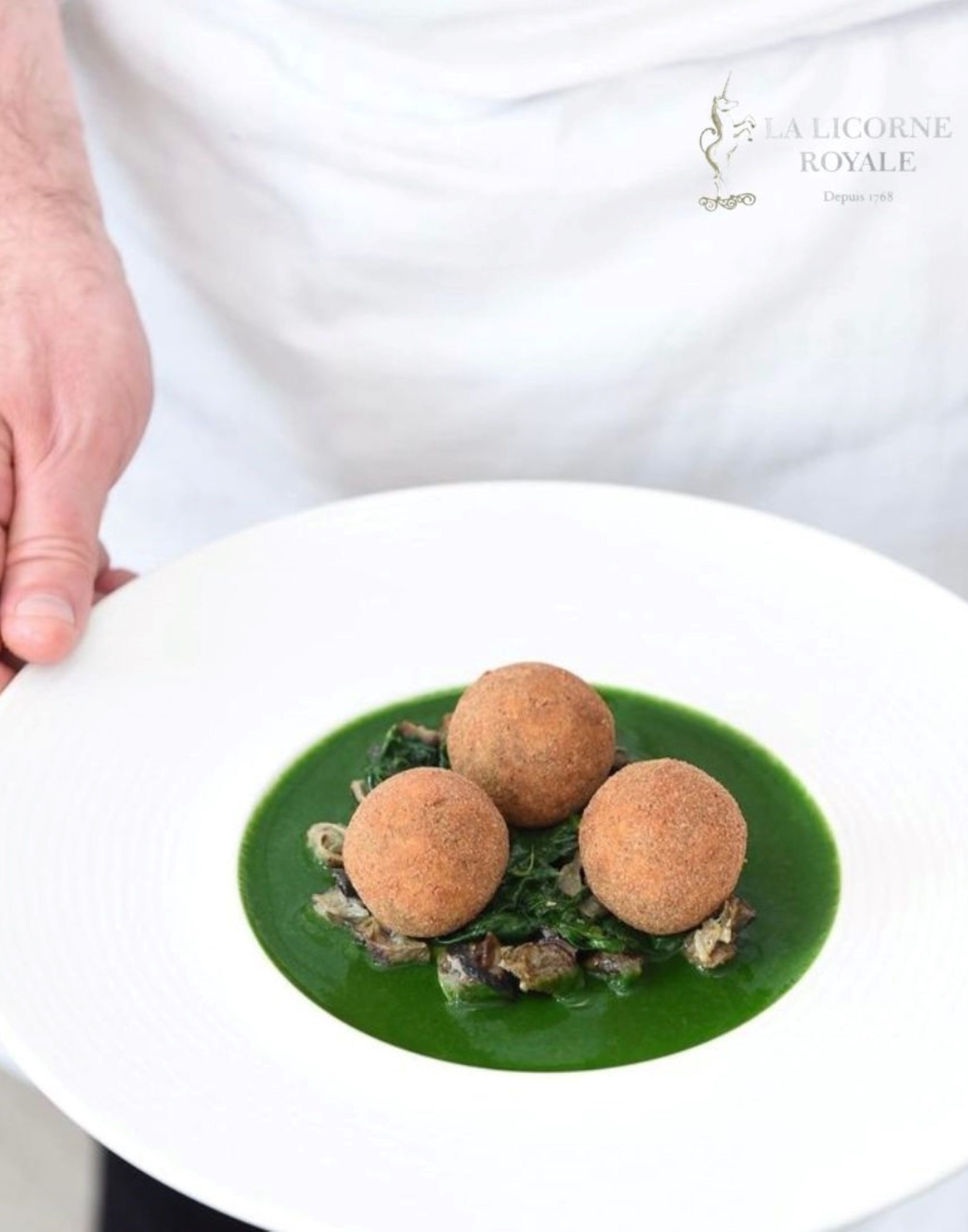 Hôtel La Licorne & SPA