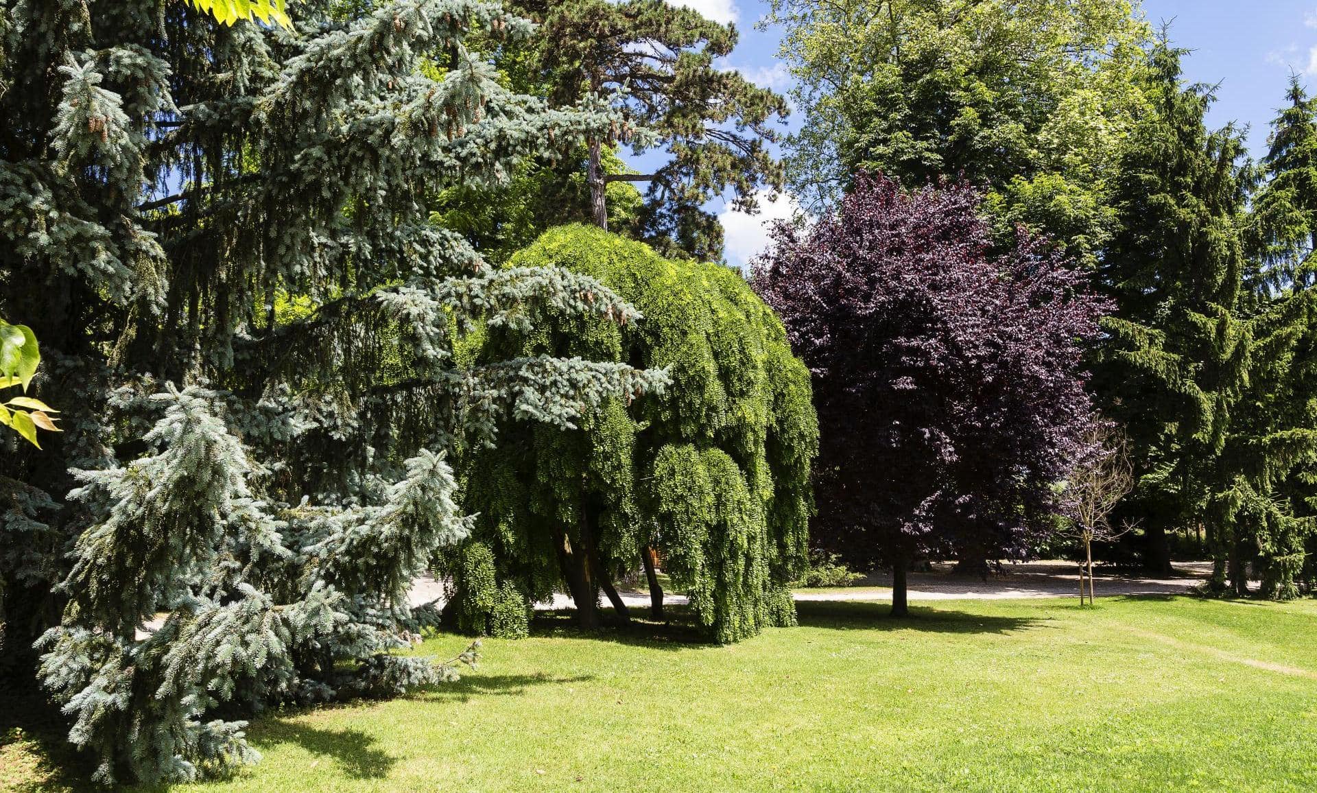 Domaine de Clairefontaine