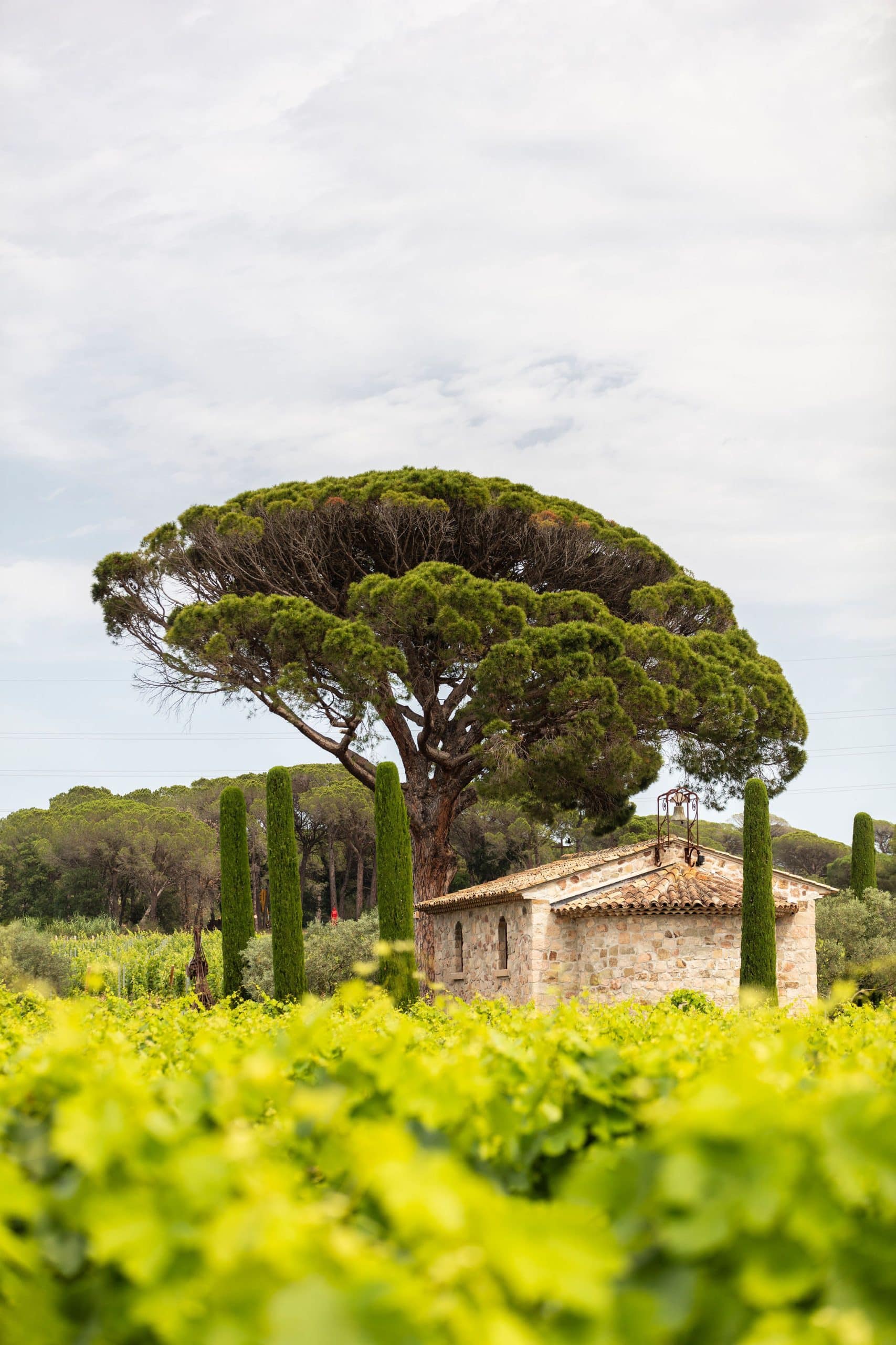 La Bastide du Clos des Roses