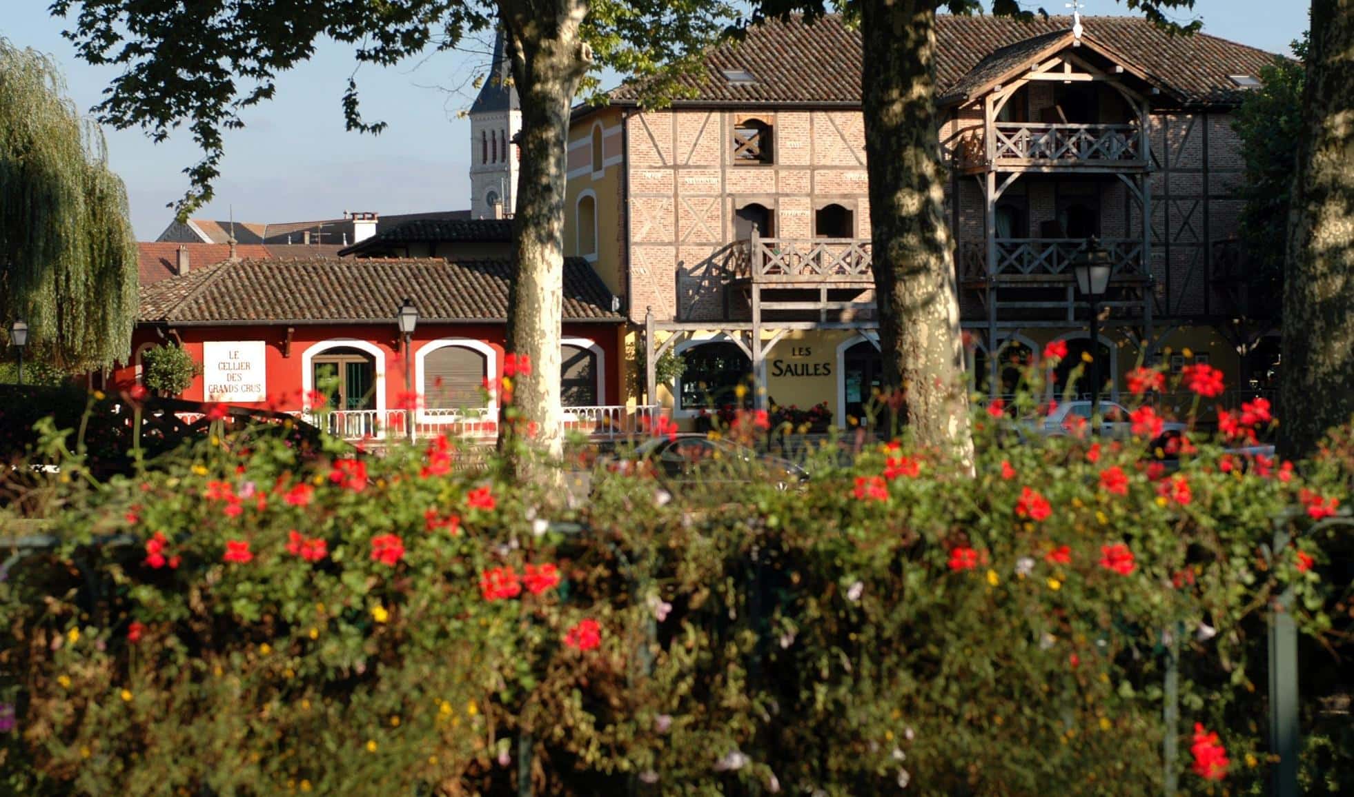 Les Saules Parc & SPA