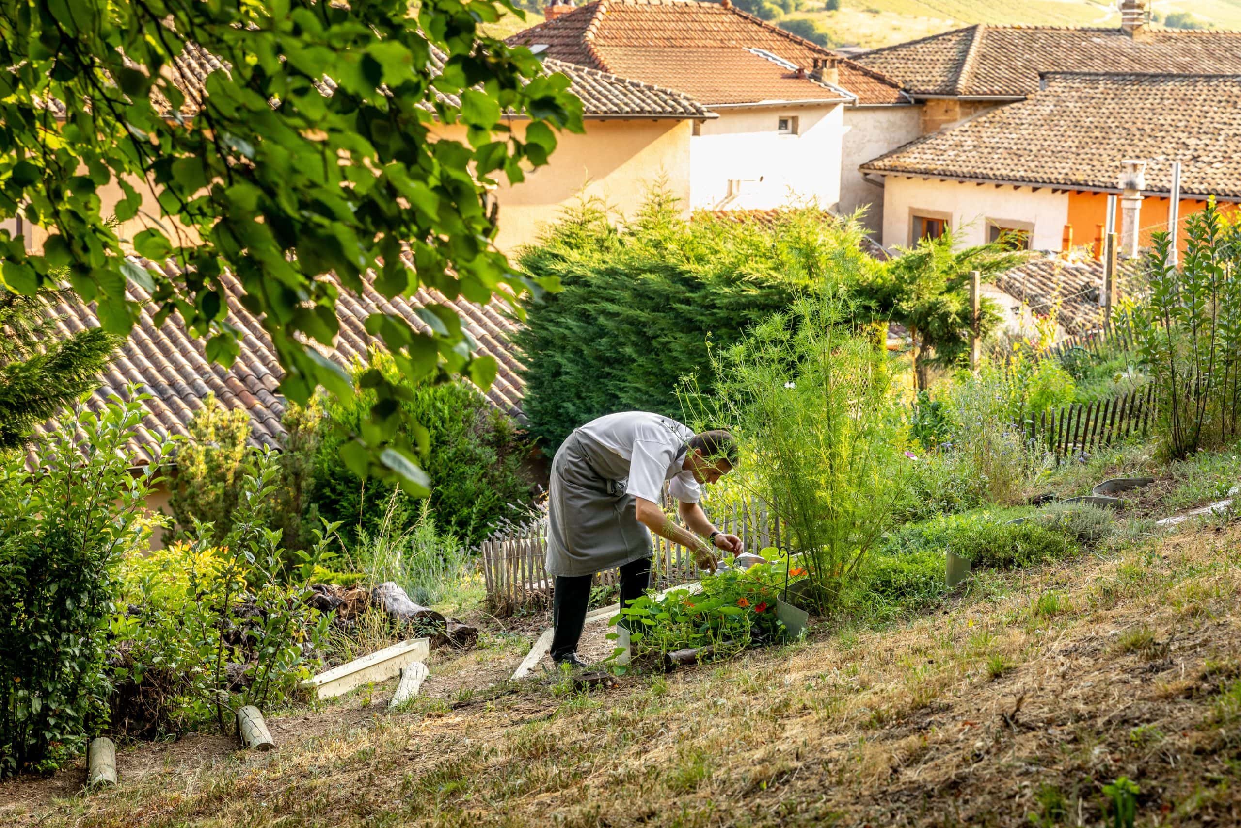 Auberge de Clochemerle Spa privatif & restaurant gastronomique