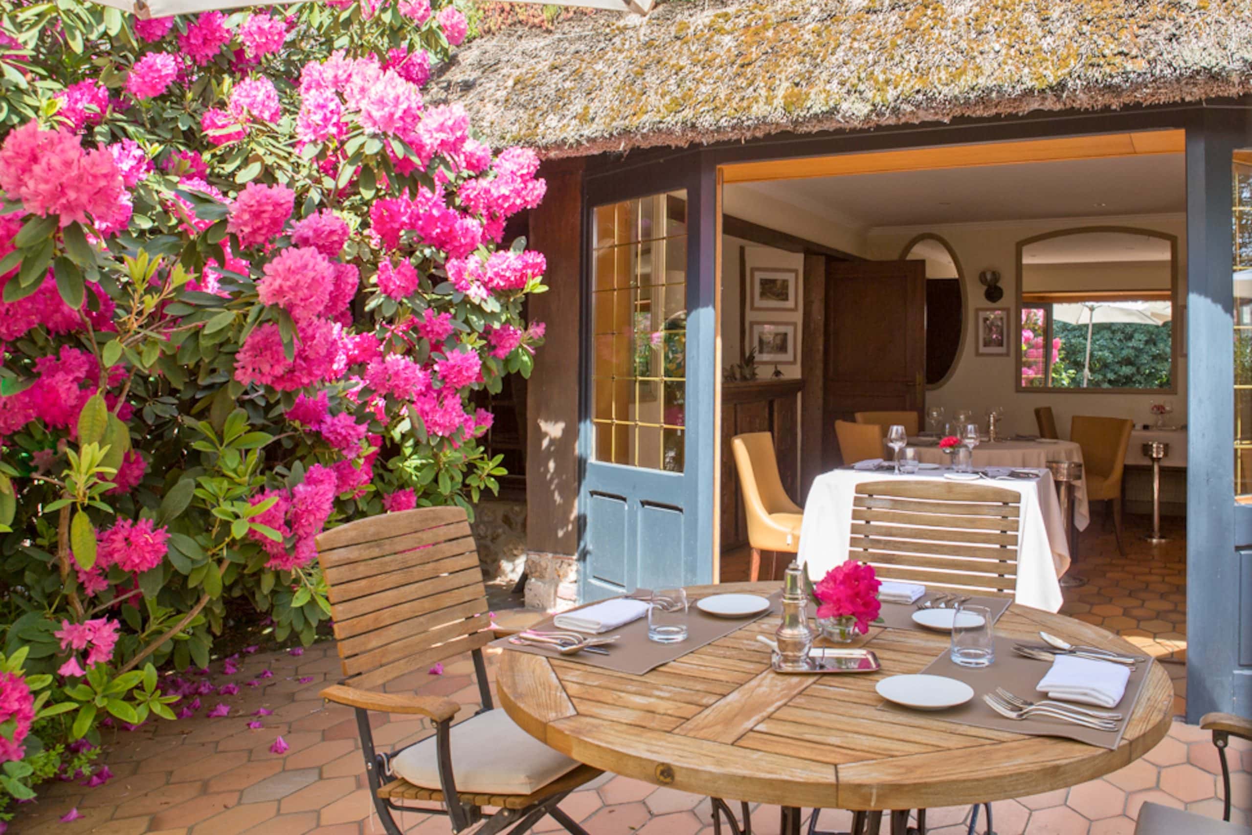 Le Petit Coq aux Champs