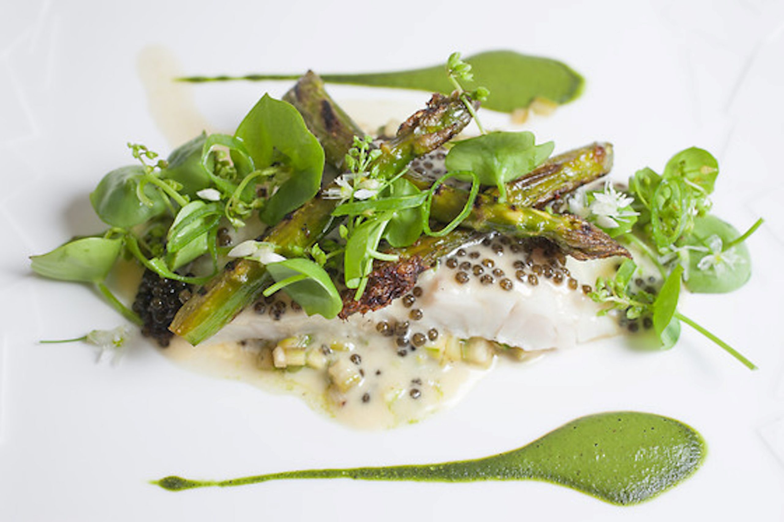 Le Petit Coq aux Champs