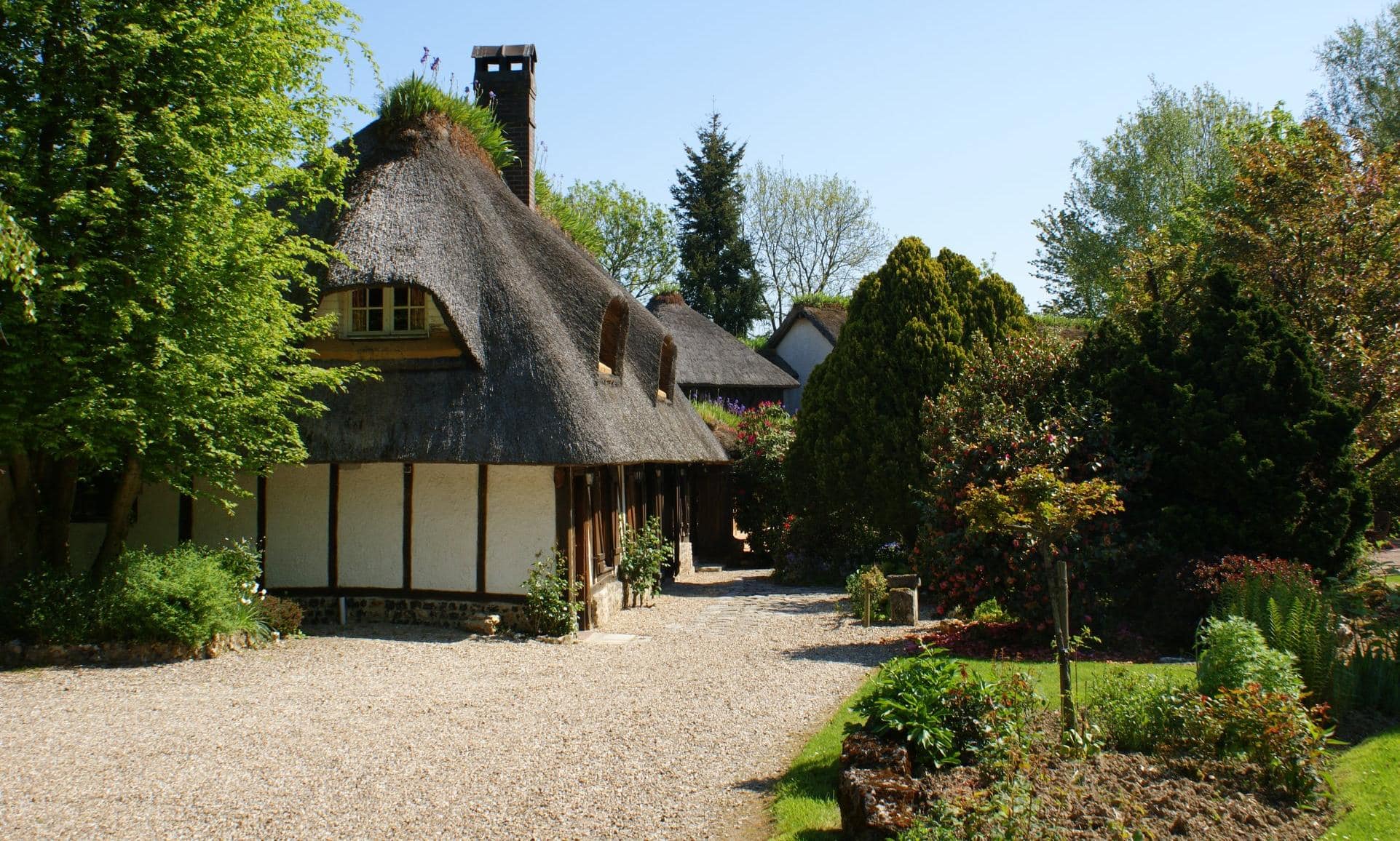 Le Petit Coq aux Champs