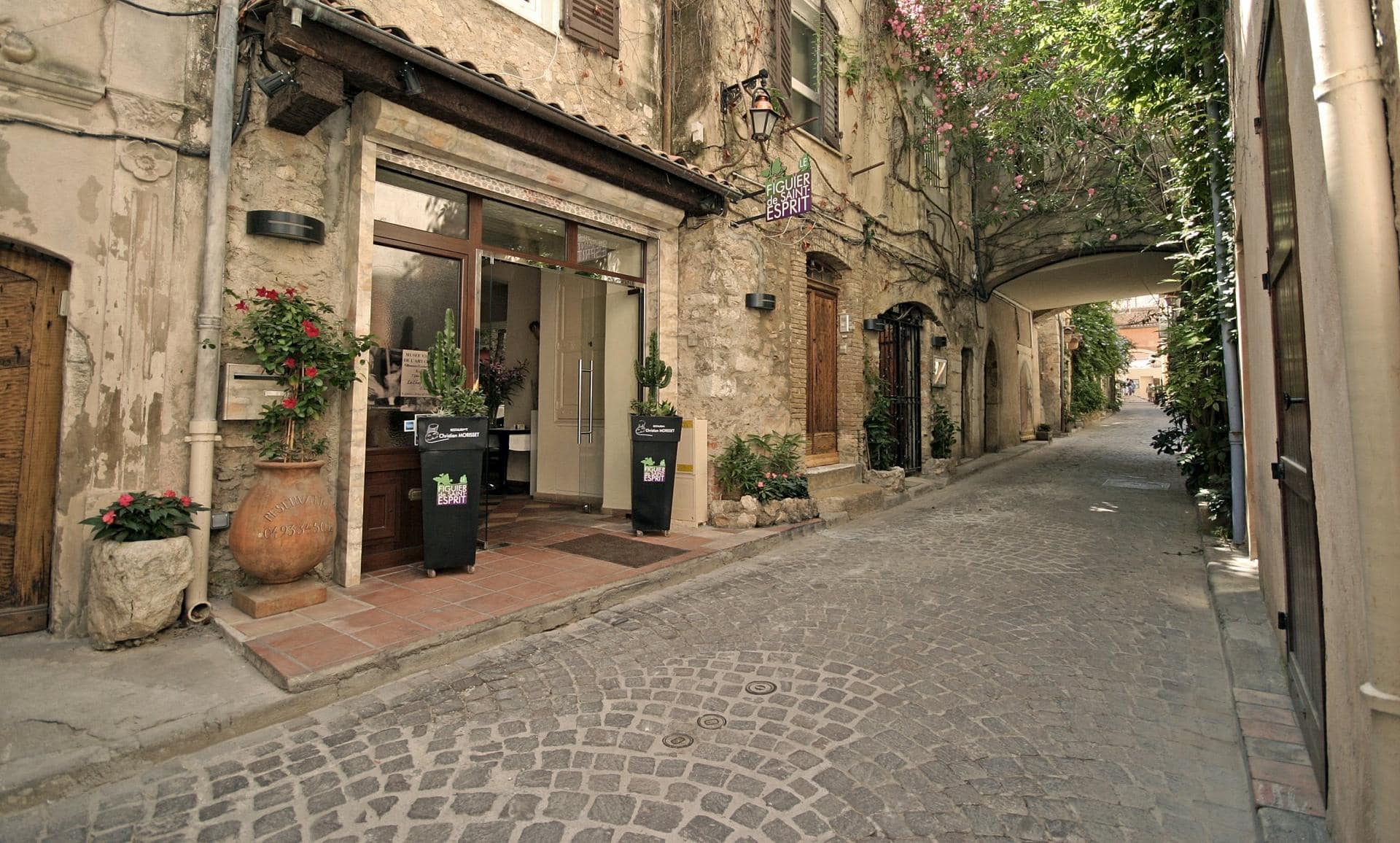 Le Figuier de Saint-Esprit