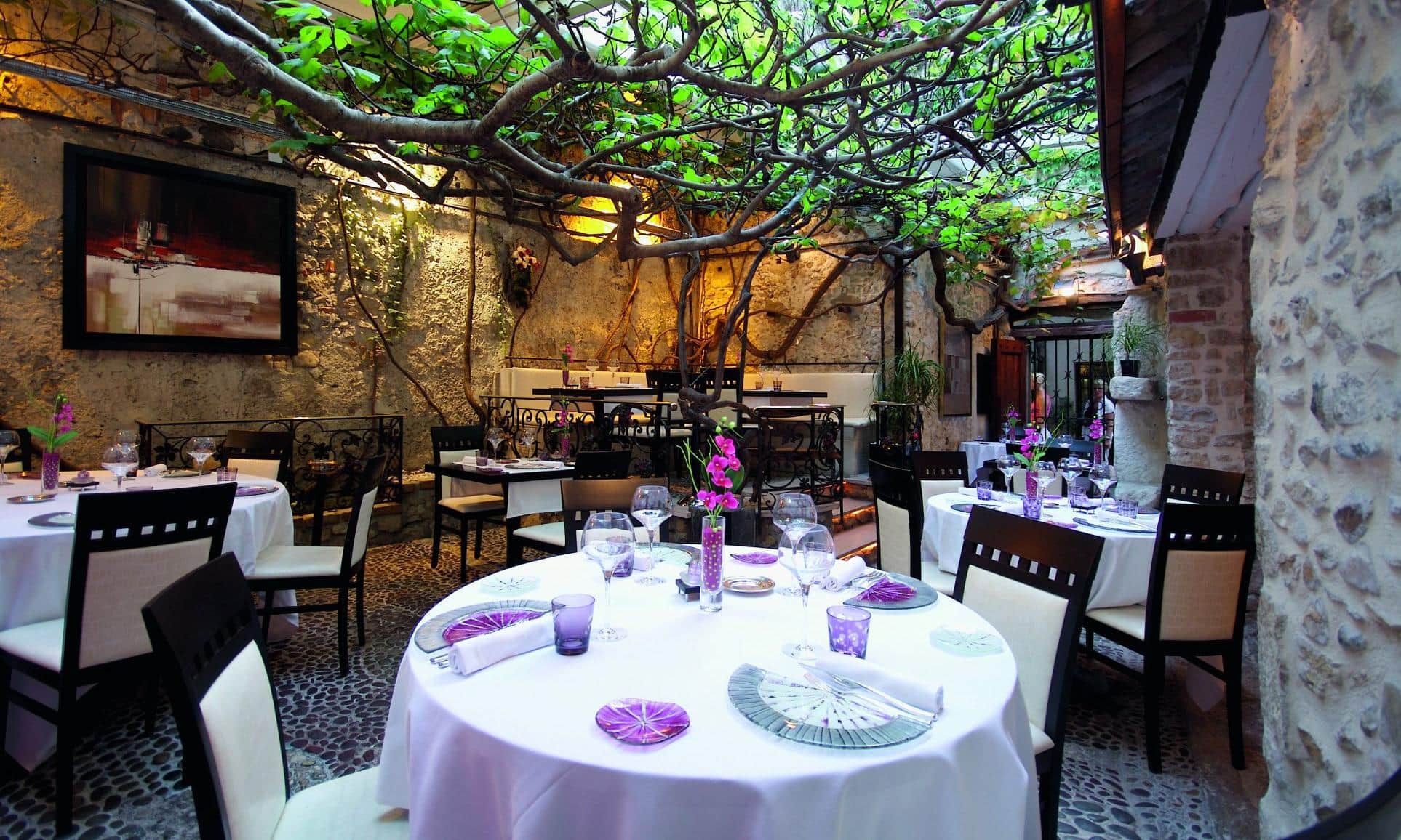 Le Figuier de Saint-Esprit