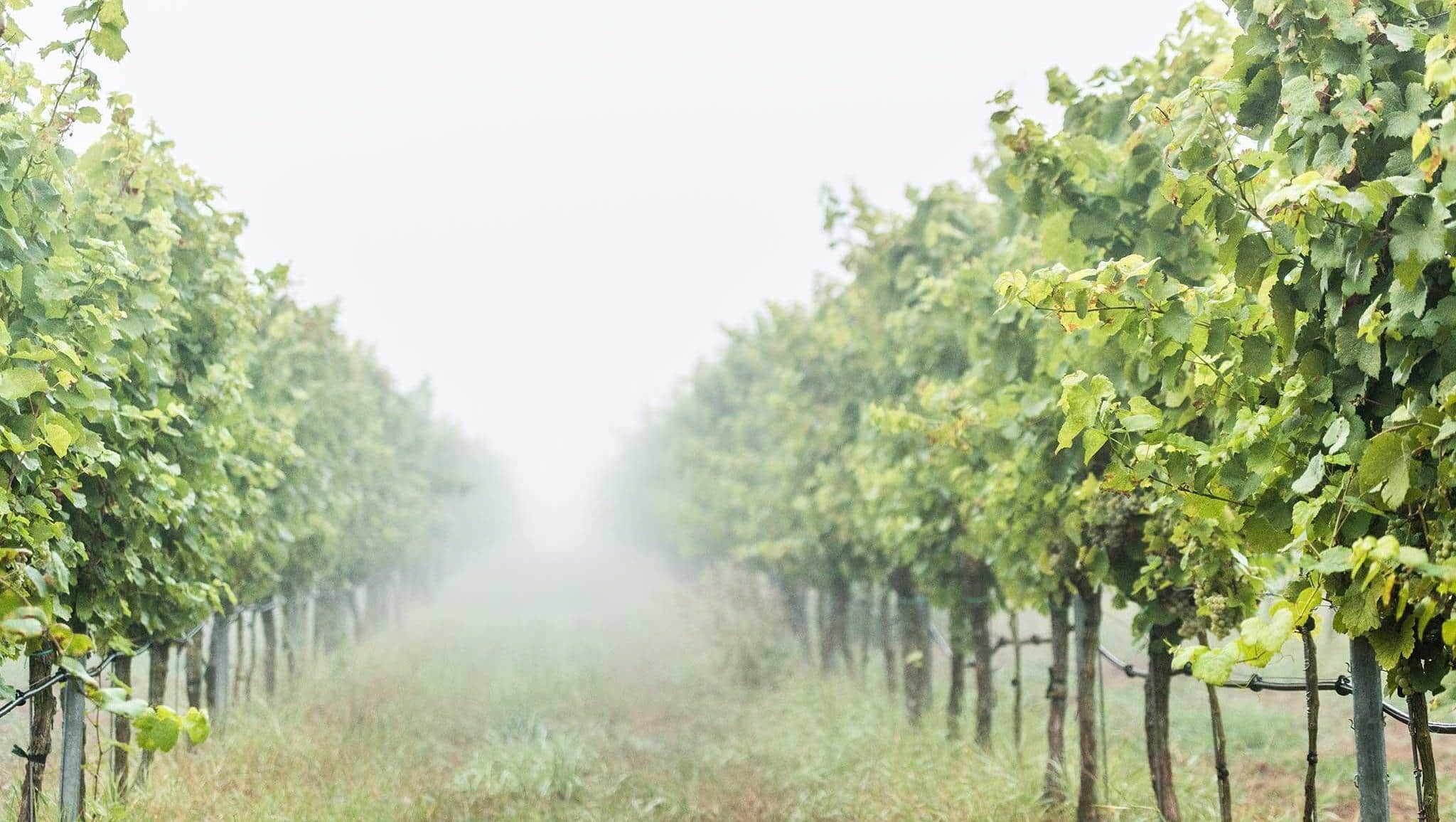 Romantik Hotel Zur Schwane