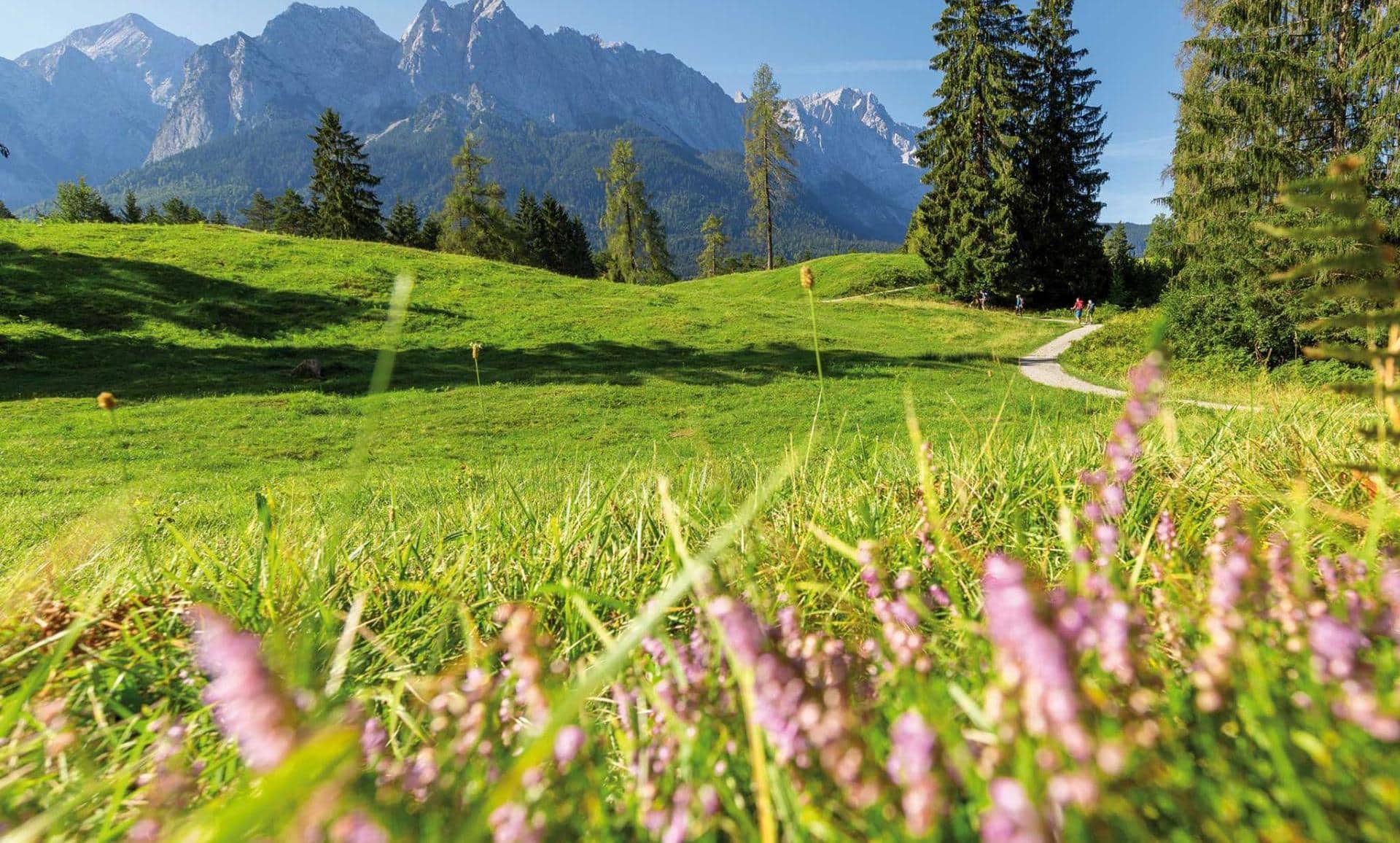 Romantik Alpenhotel Waxenstein