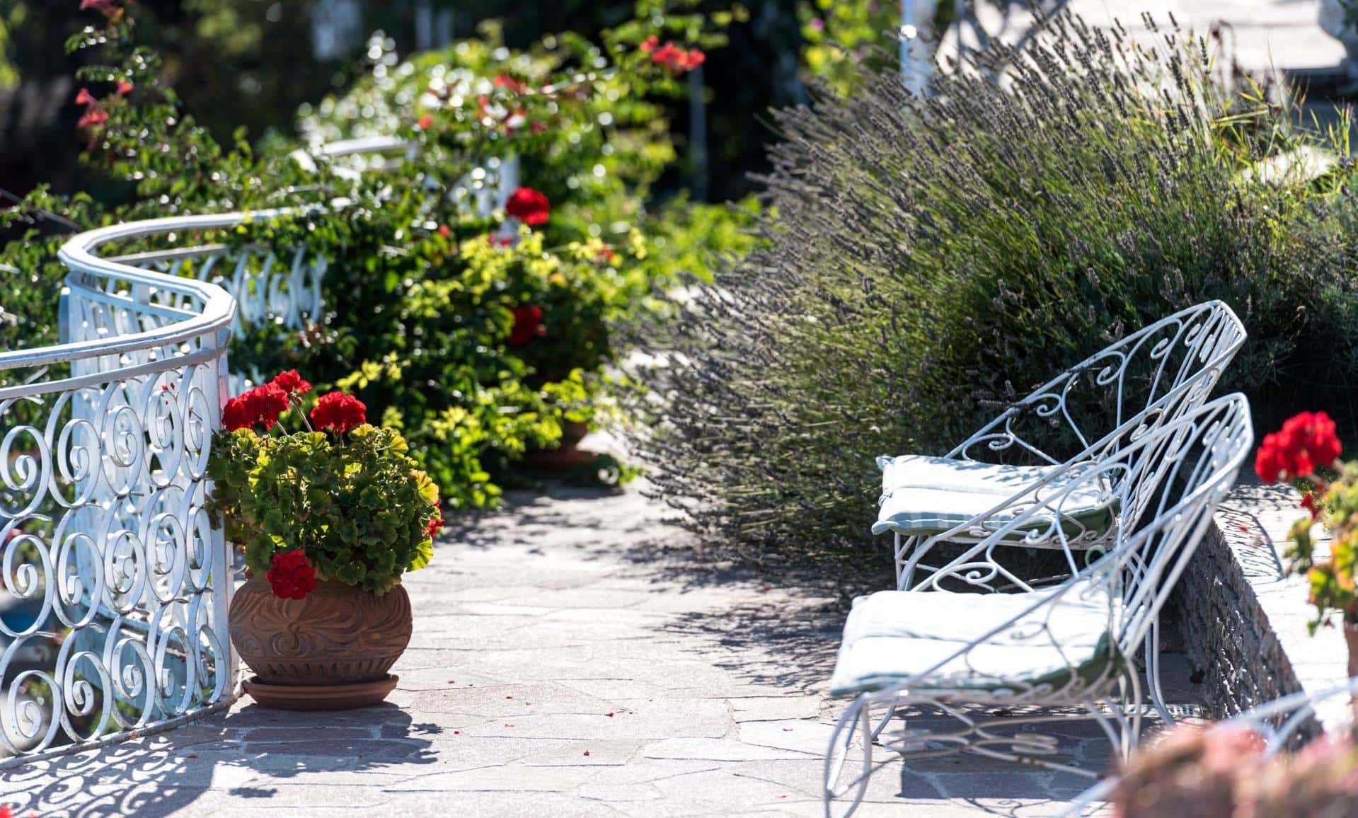 Alp & Wellness Sport Hotel Panorama