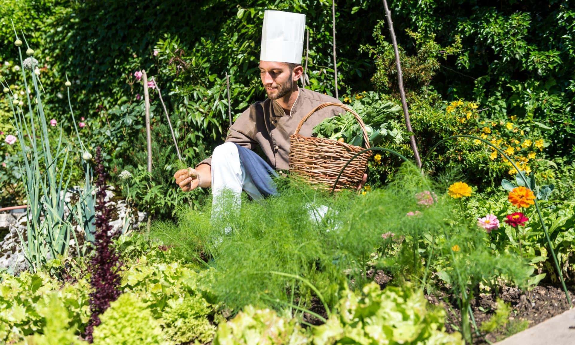 Alp & Wellness Sport Hotel Panorama