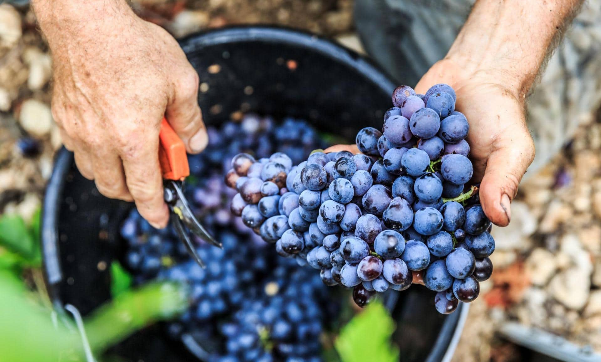 La Bastide du Château Rasque