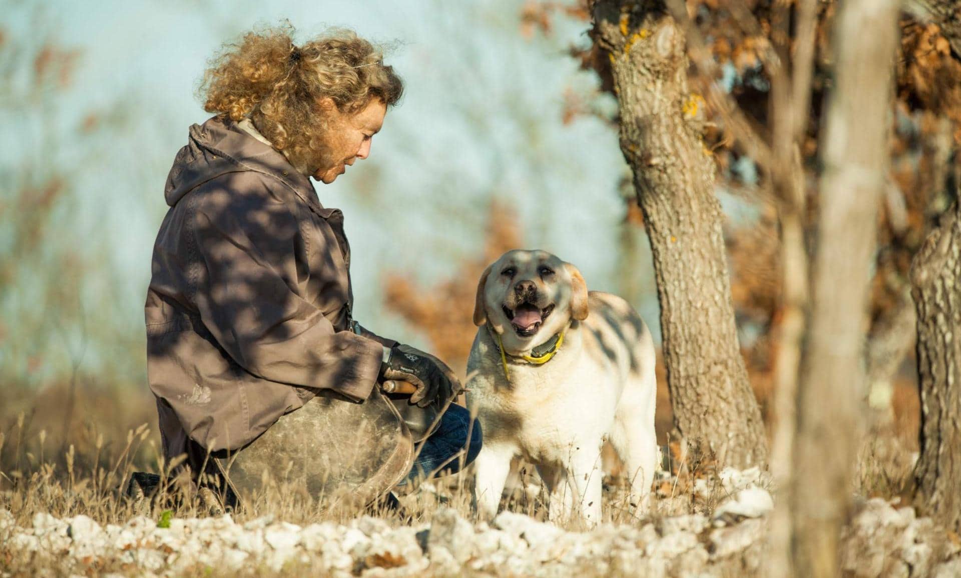 Domaine de Saint-Géry