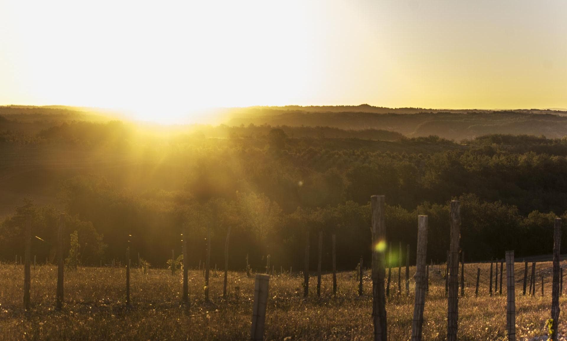 Domaine de Saint-Géry