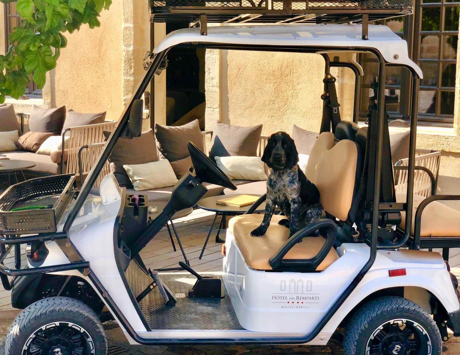 Hôtel des Remparts & SPA