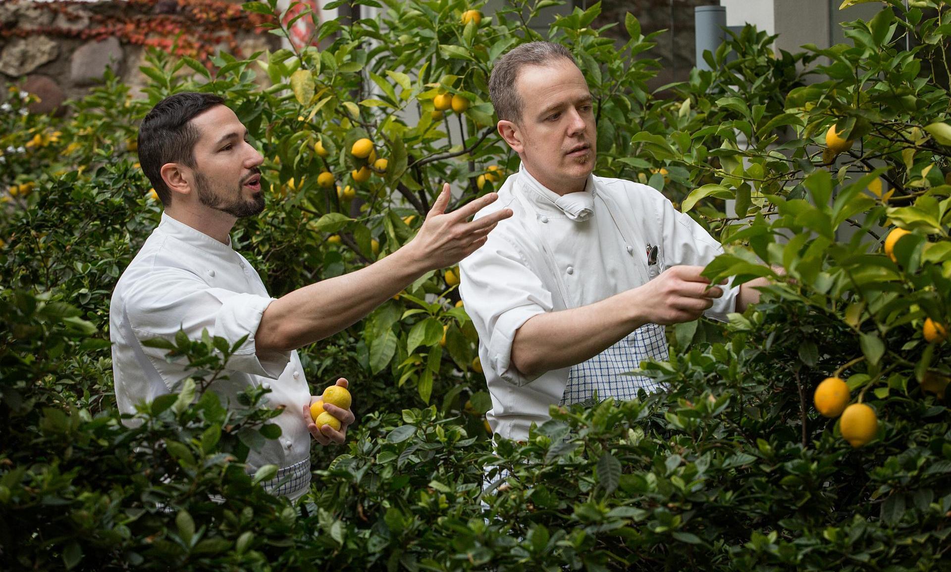 Regina Adelaide Hotel