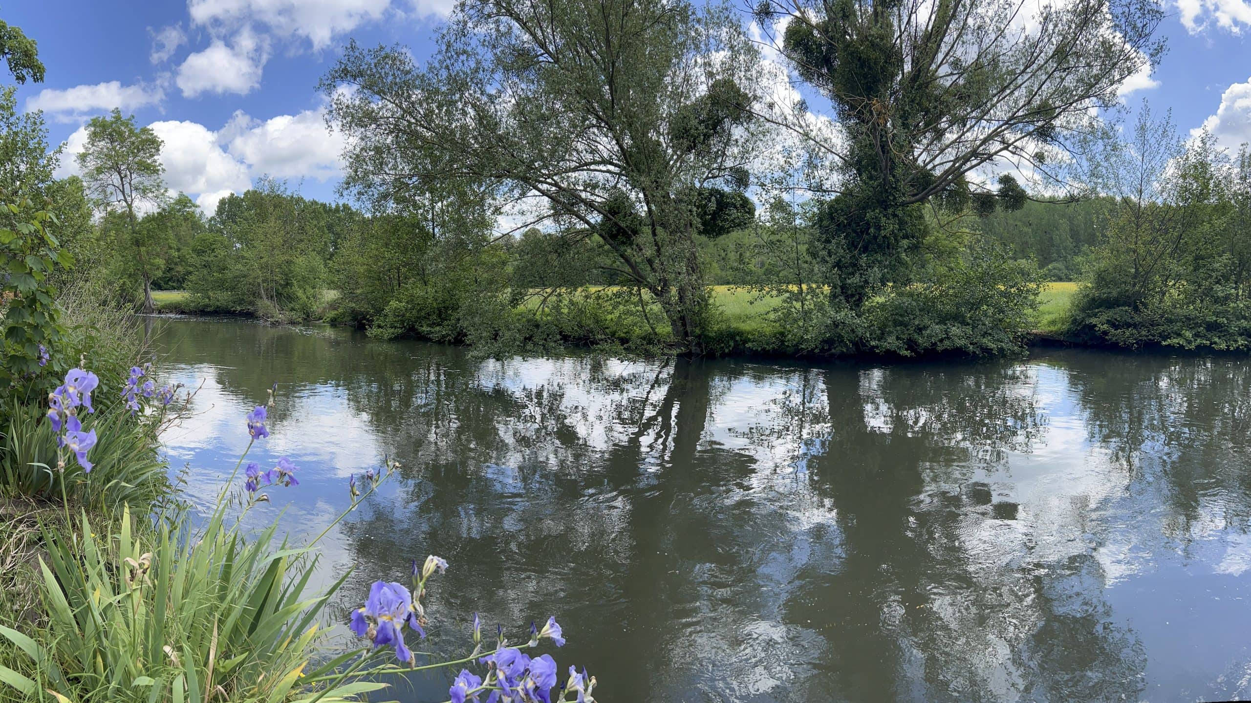 Le restaurant du Moulin