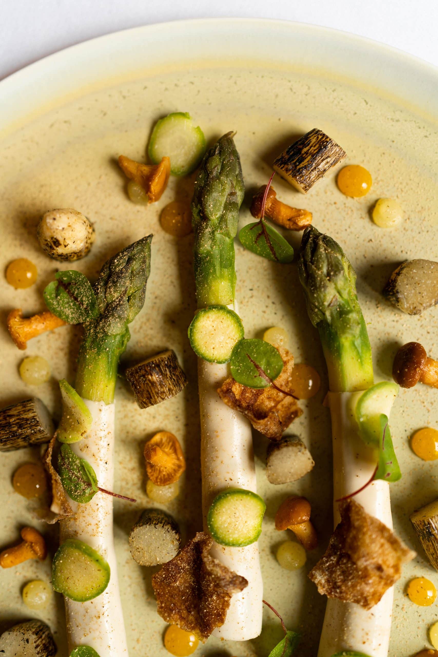 La Maison Dans Le Parc