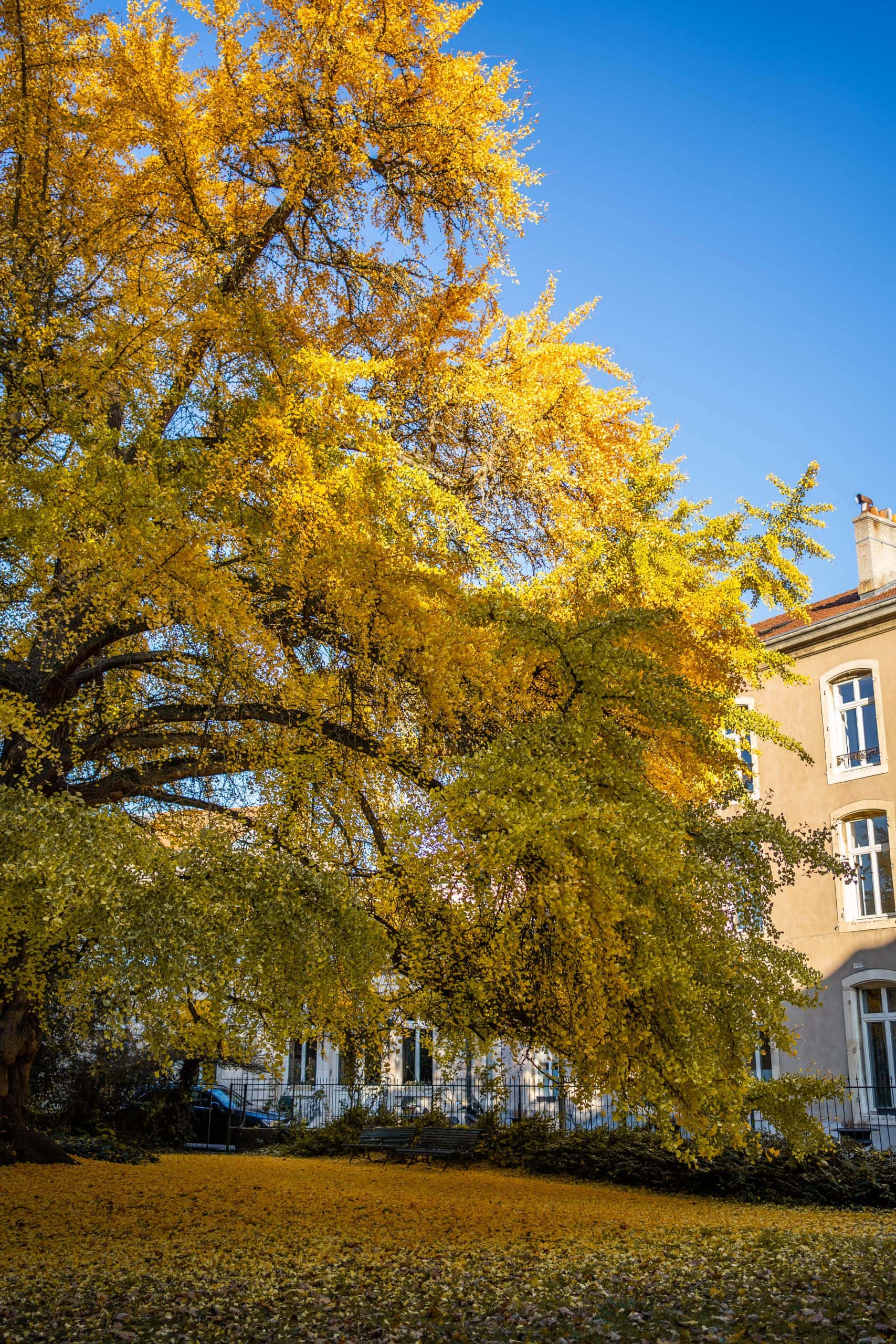 La Maison Dans Le Parc