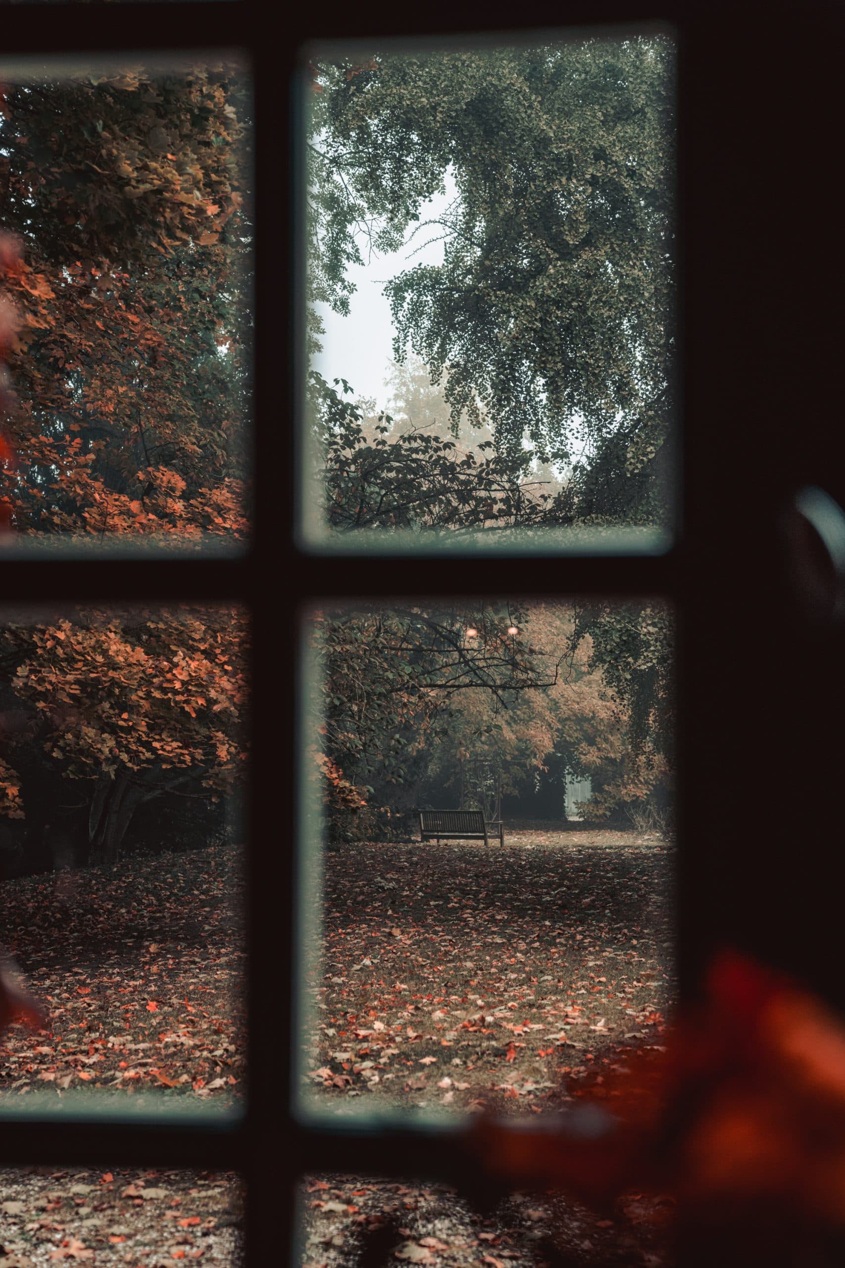 La Maison Dans Le Parc