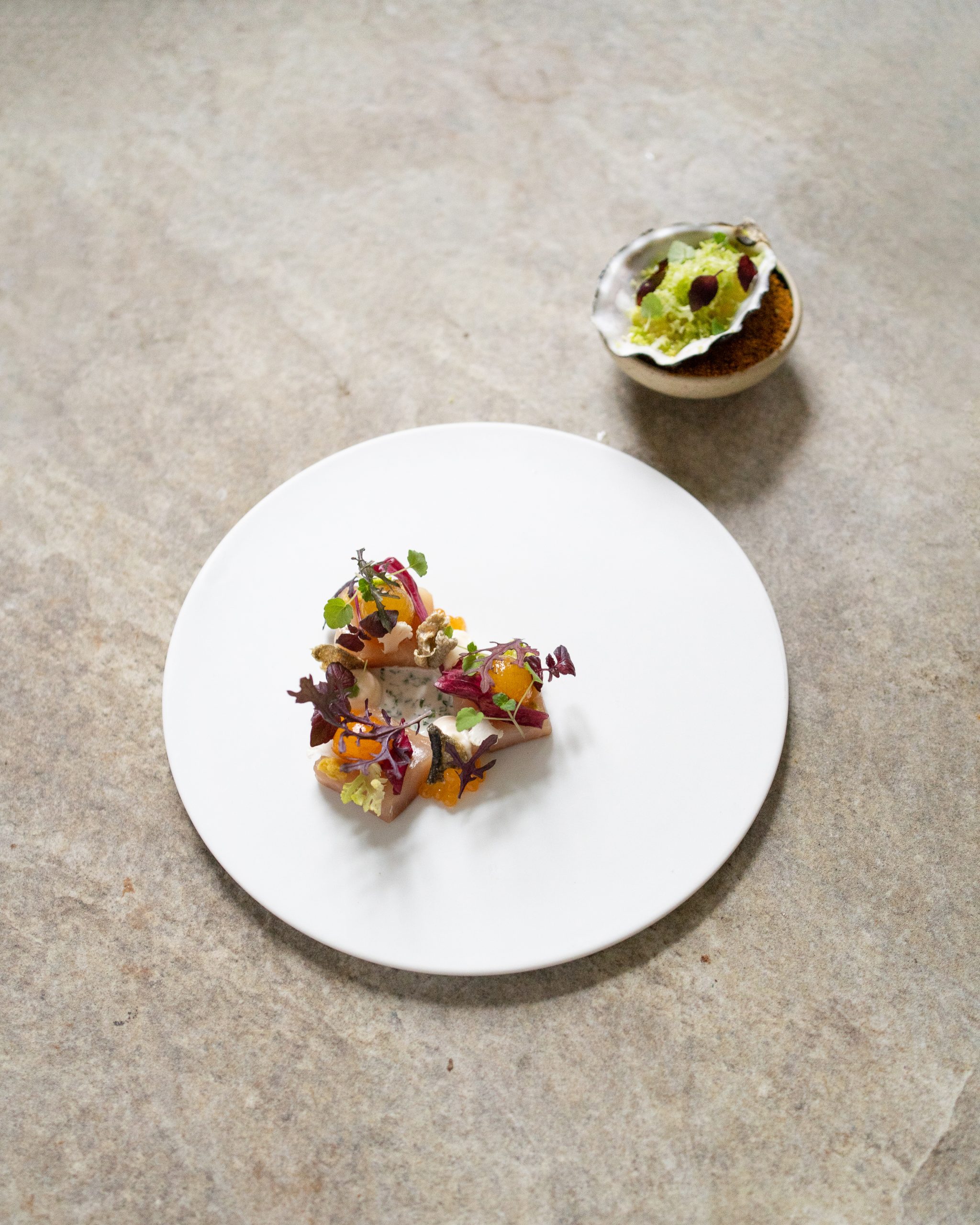 La Maison Dans Le Parc