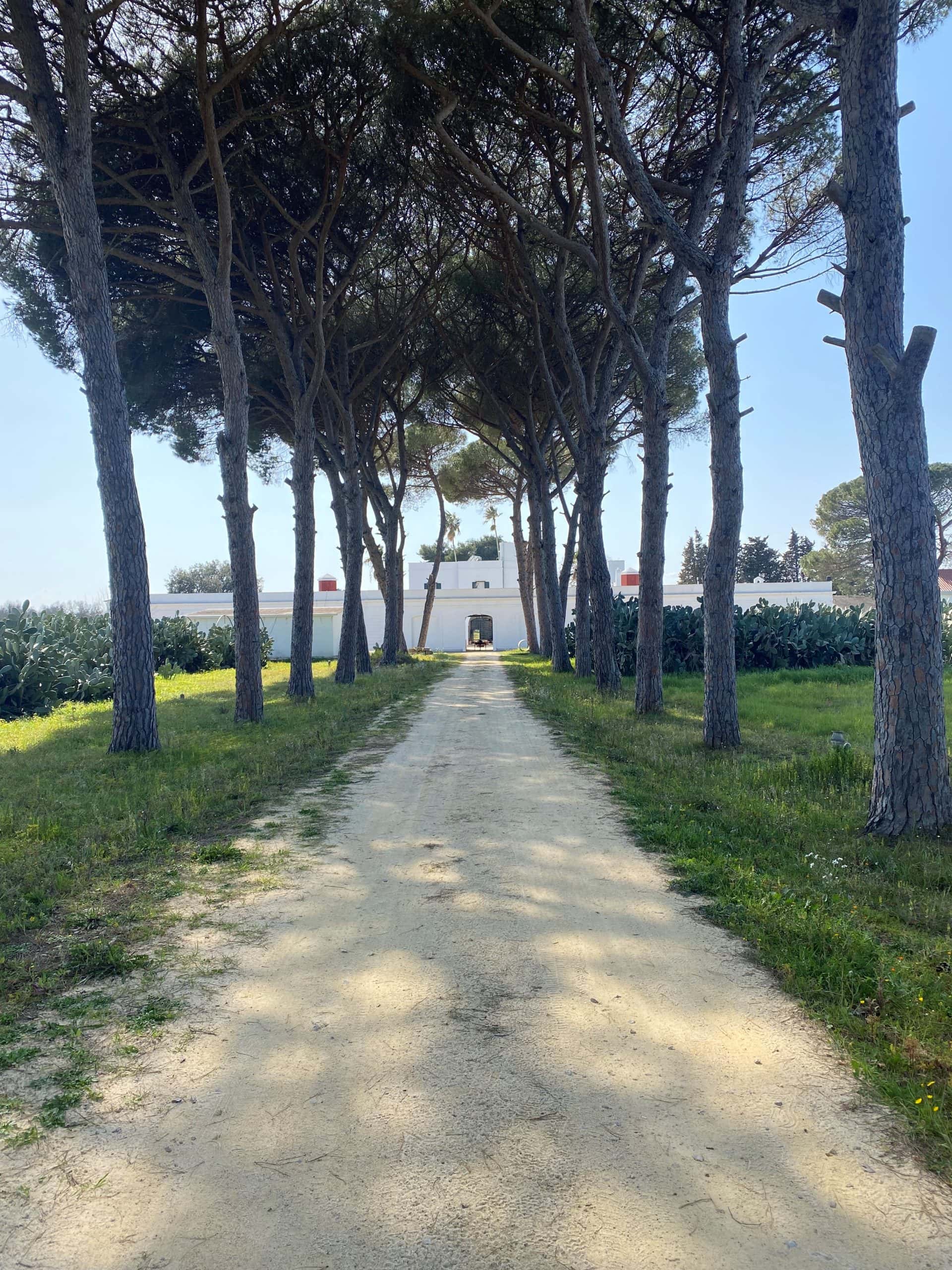 Filippo de Raho Agri Bio Relais