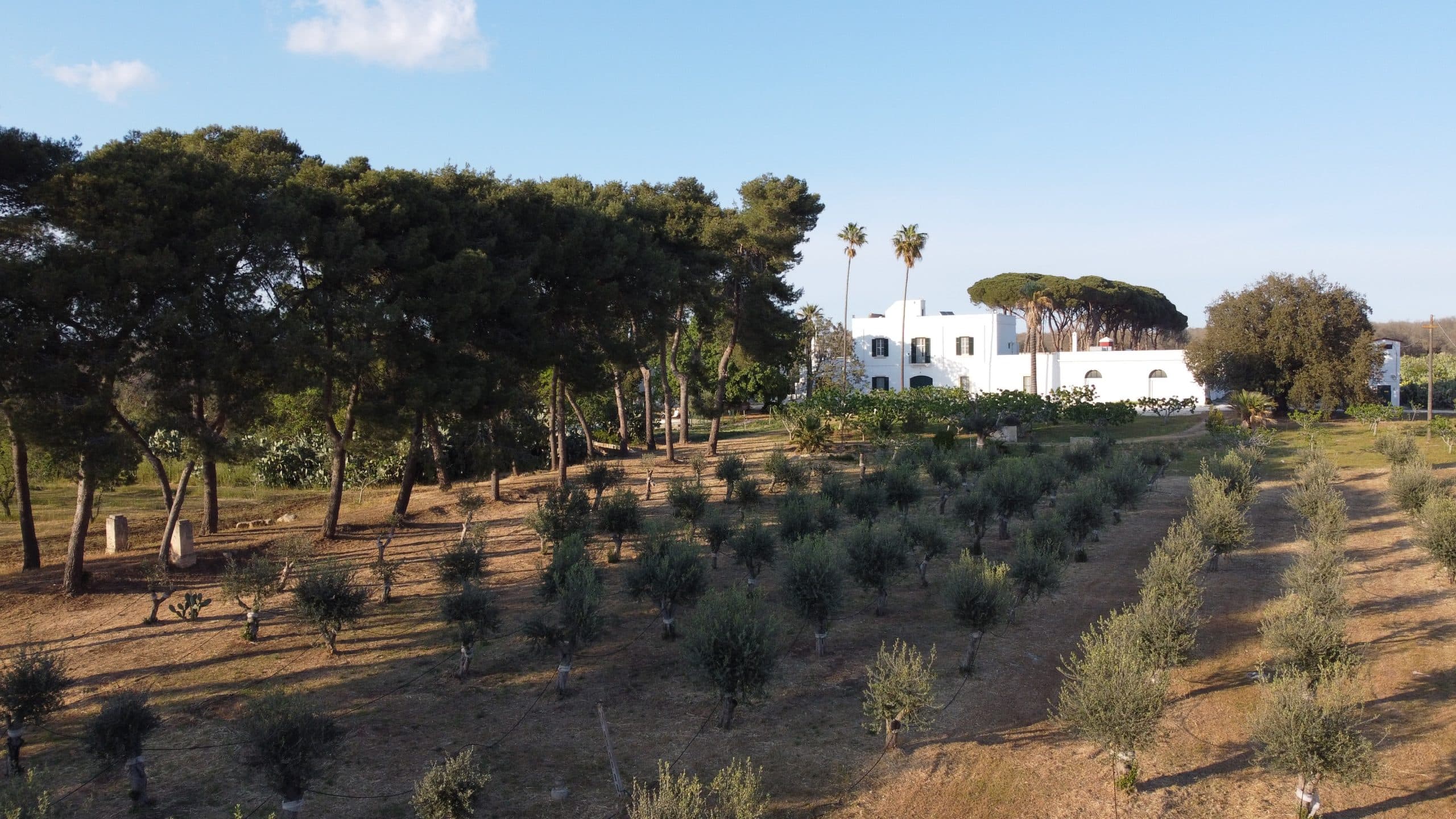 Filippo de Raho Agri Bio Relais