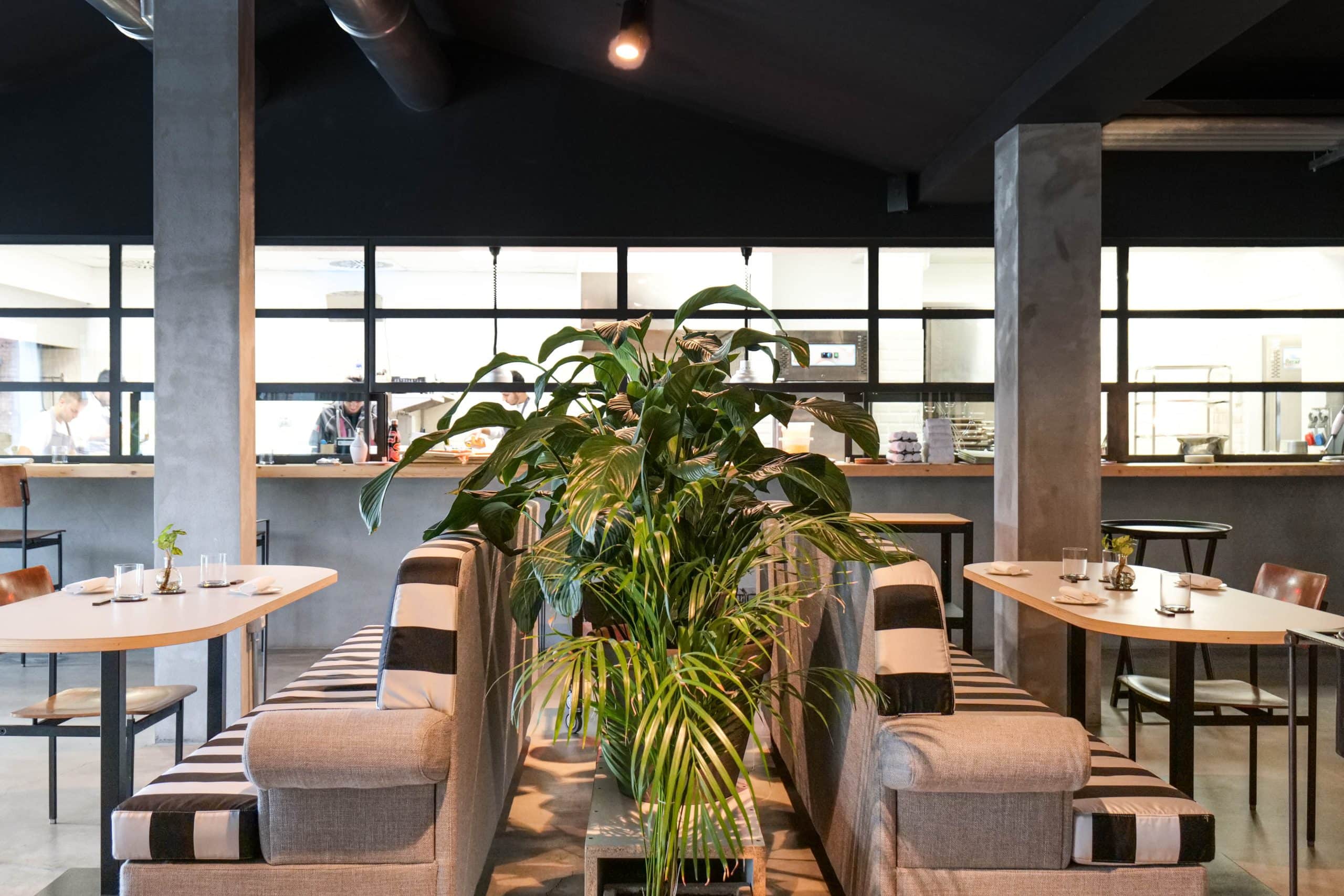 Trattoria Contemporanea