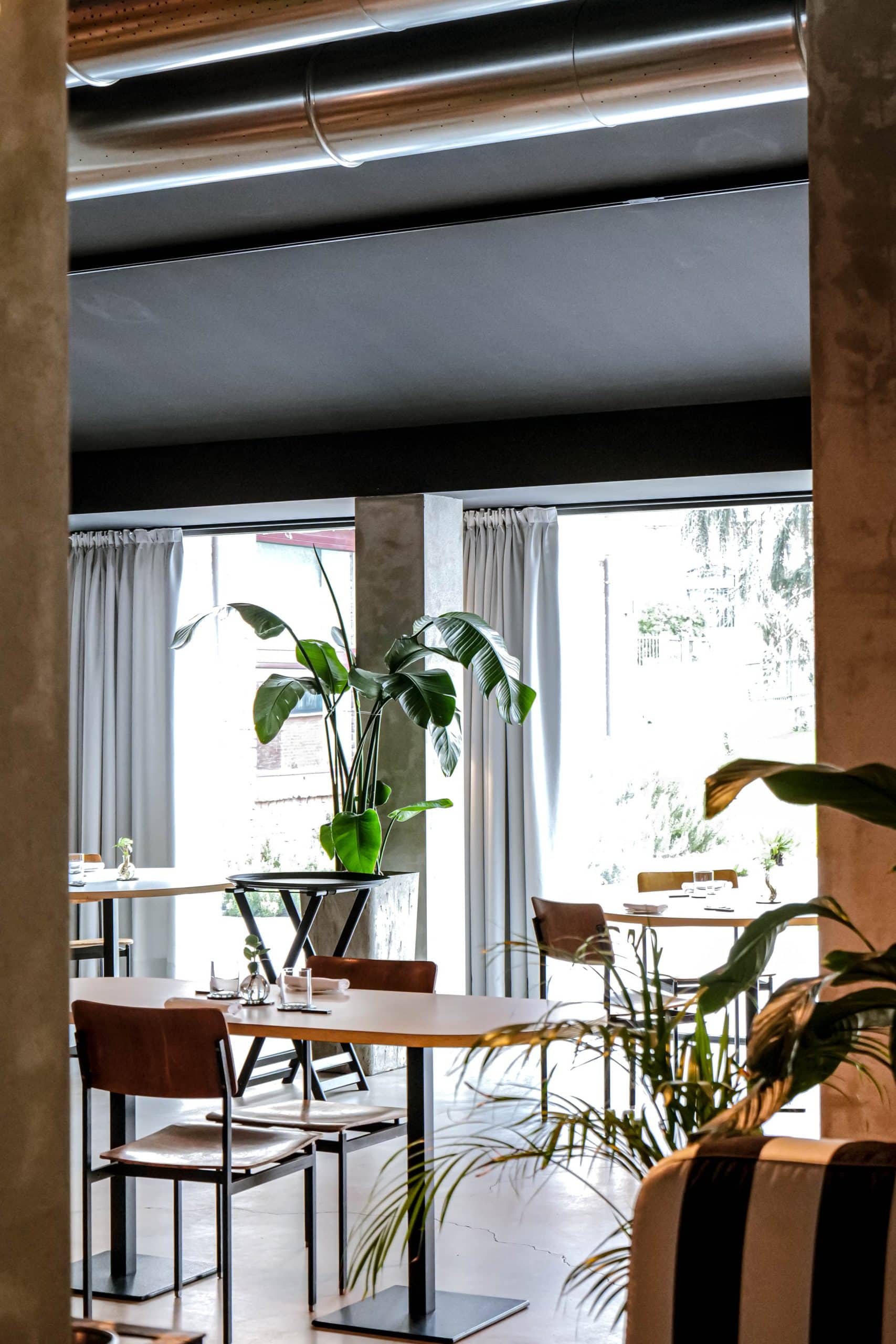 Trattoria Contemporanea