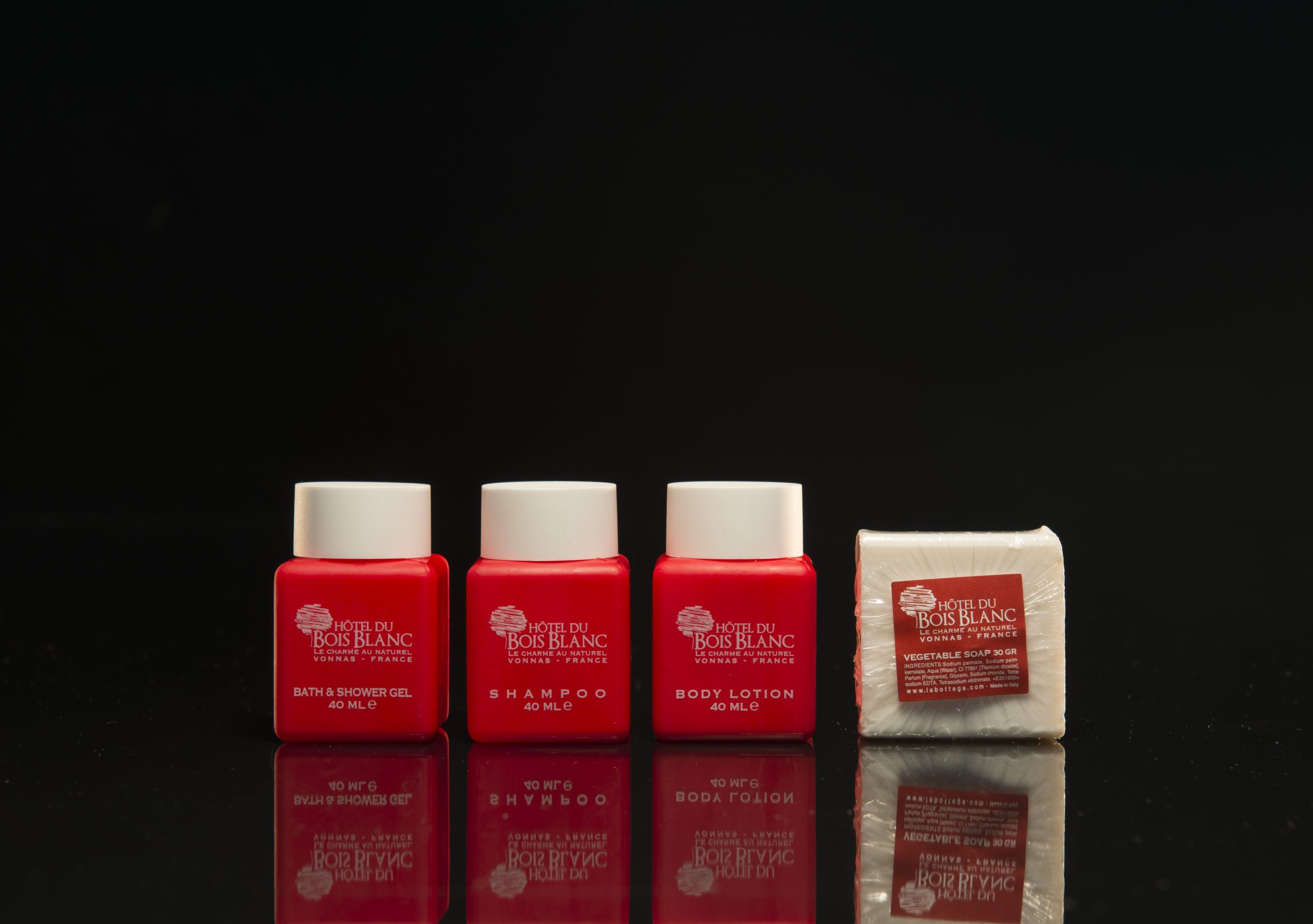 Hôtel du Bois Blanc