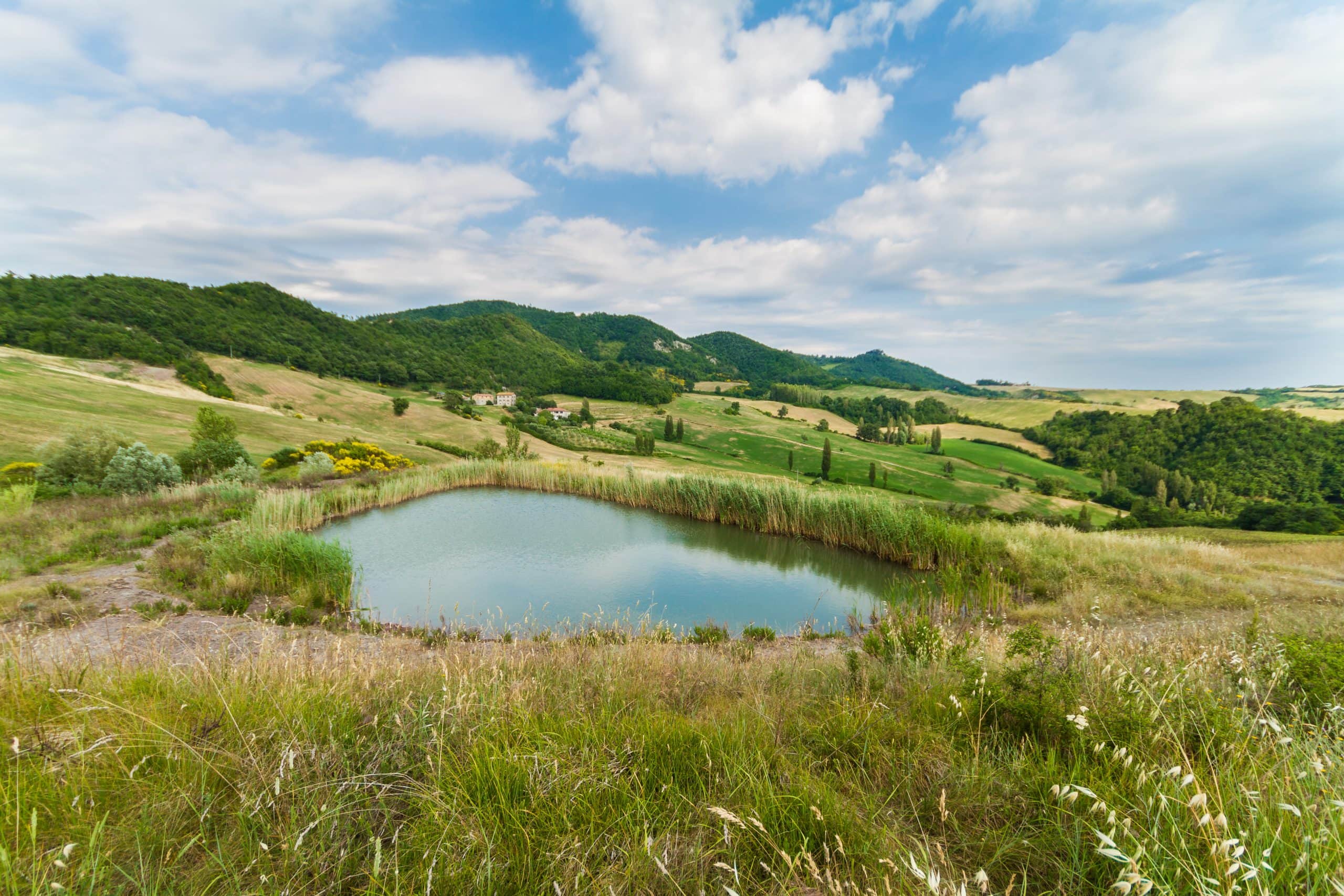 Tenuta Borgo Santa Cecilia