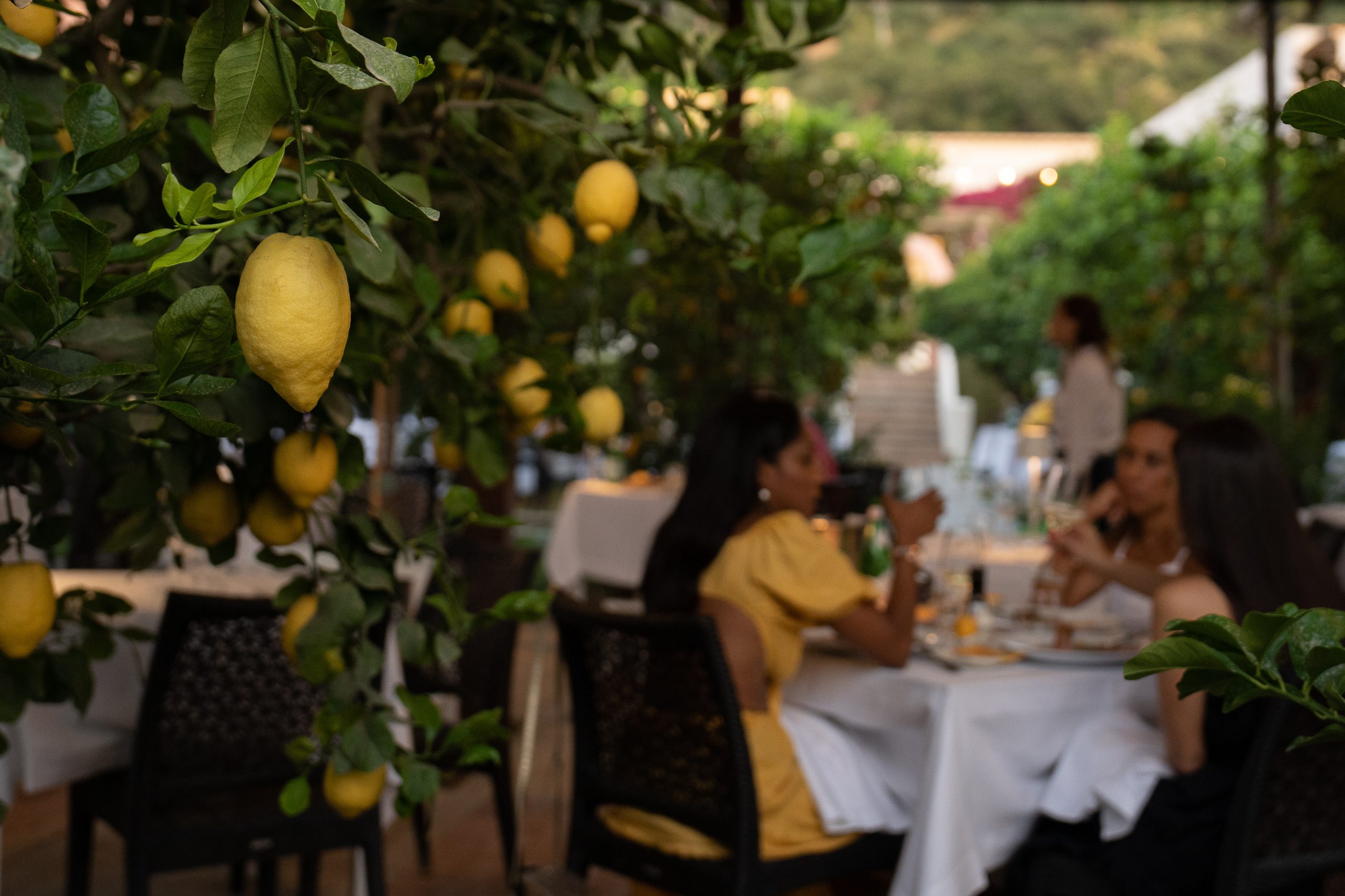 La Zagara – Casa Mariantonia