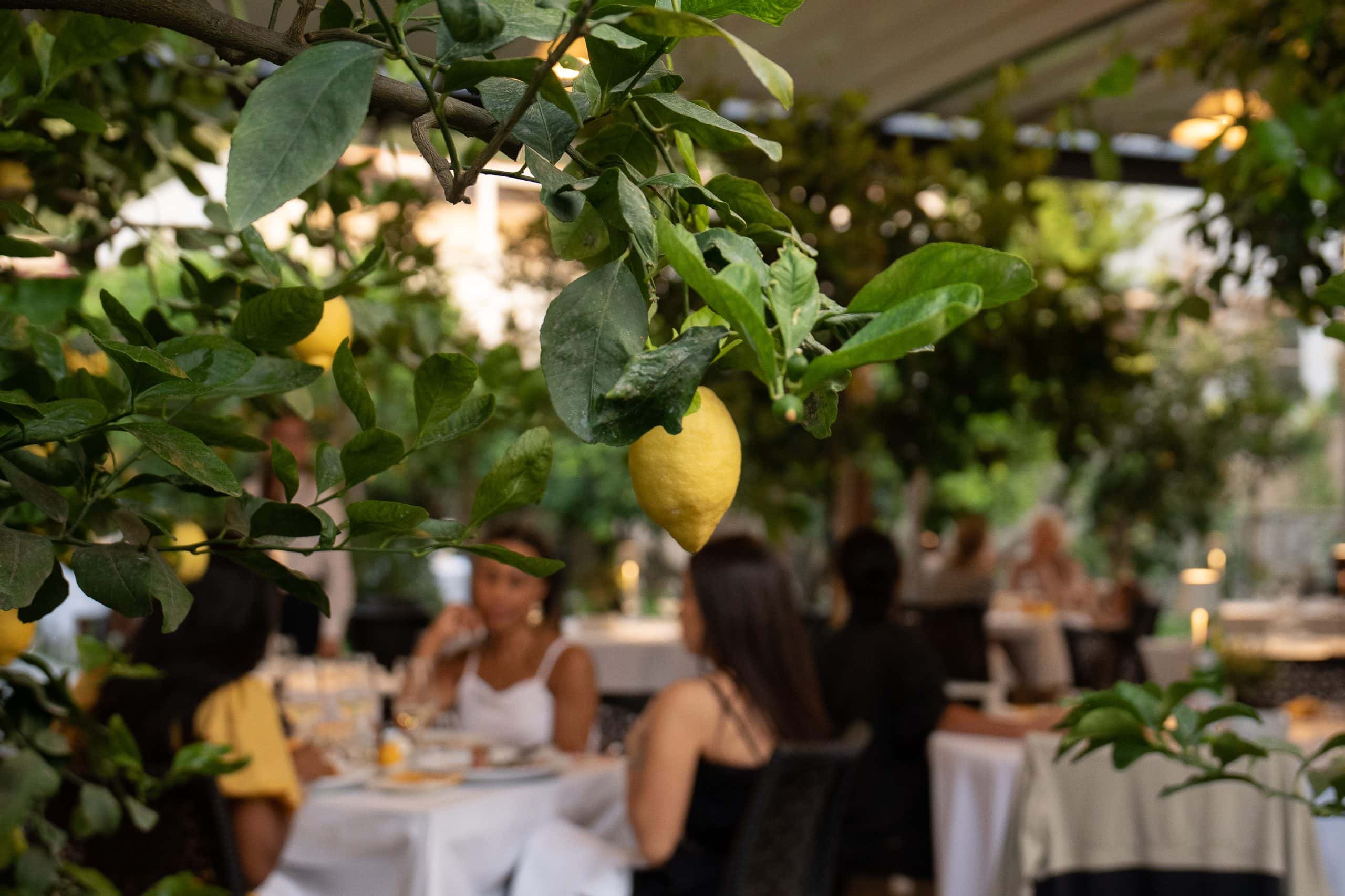 fête des citrons d’amalfi (campanie)
