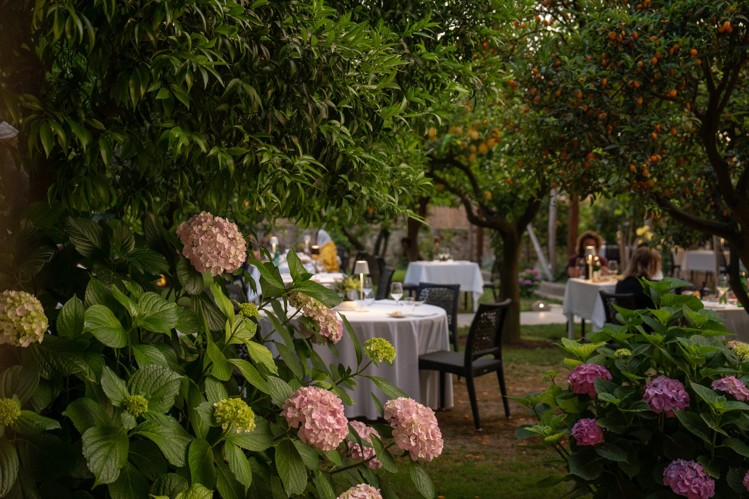 La Zagara – Casa Mariantonia