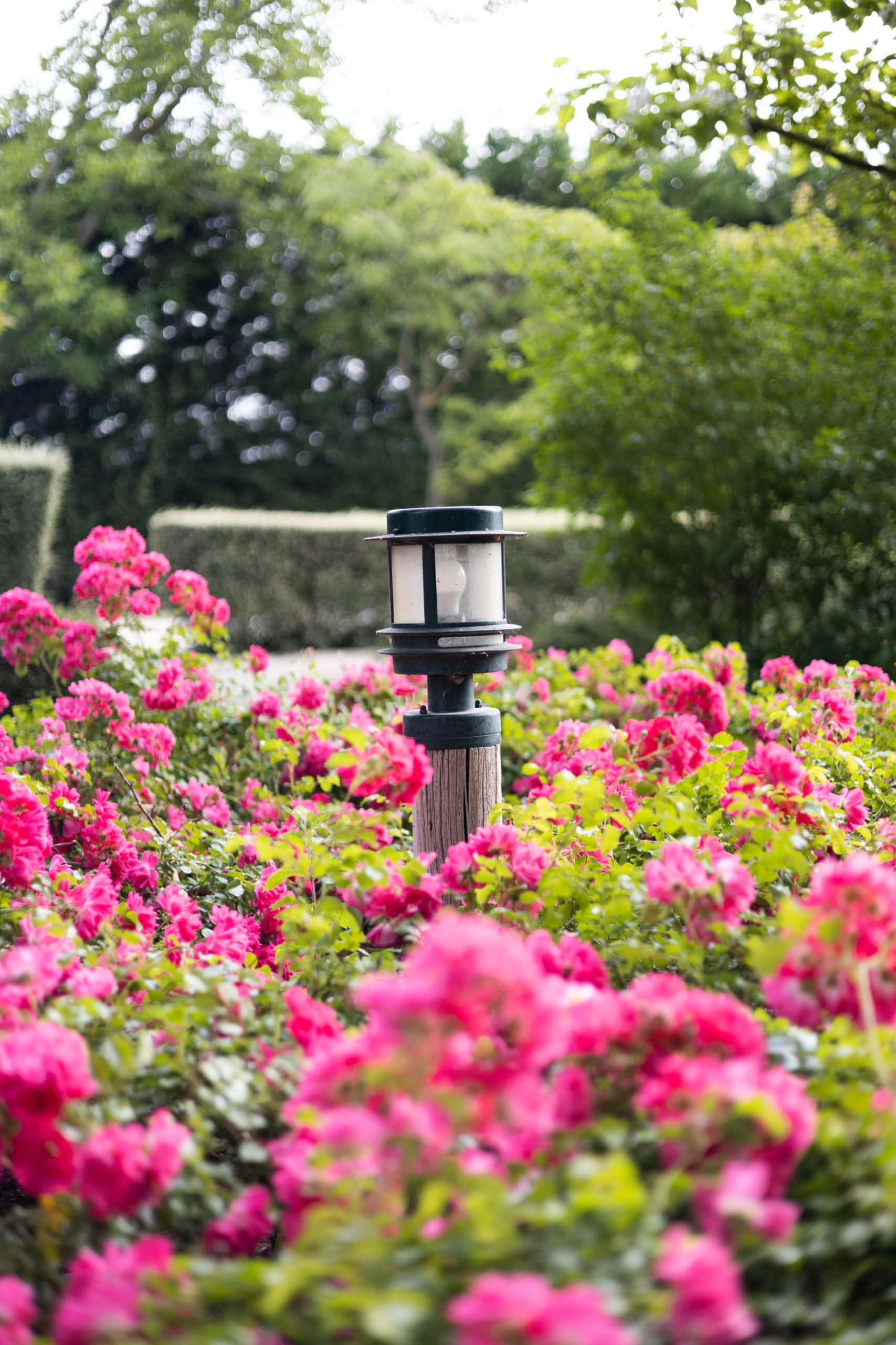 Domaine du Moulin de Villefranche