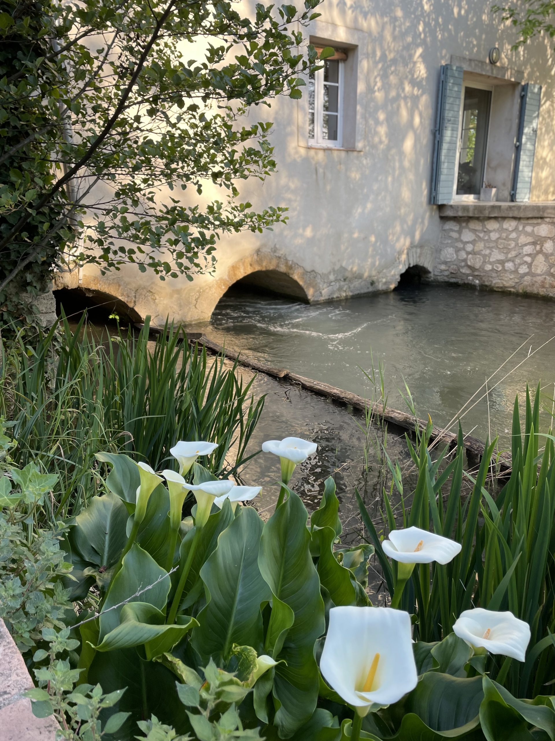 Domaine du Moulin de Villefranche