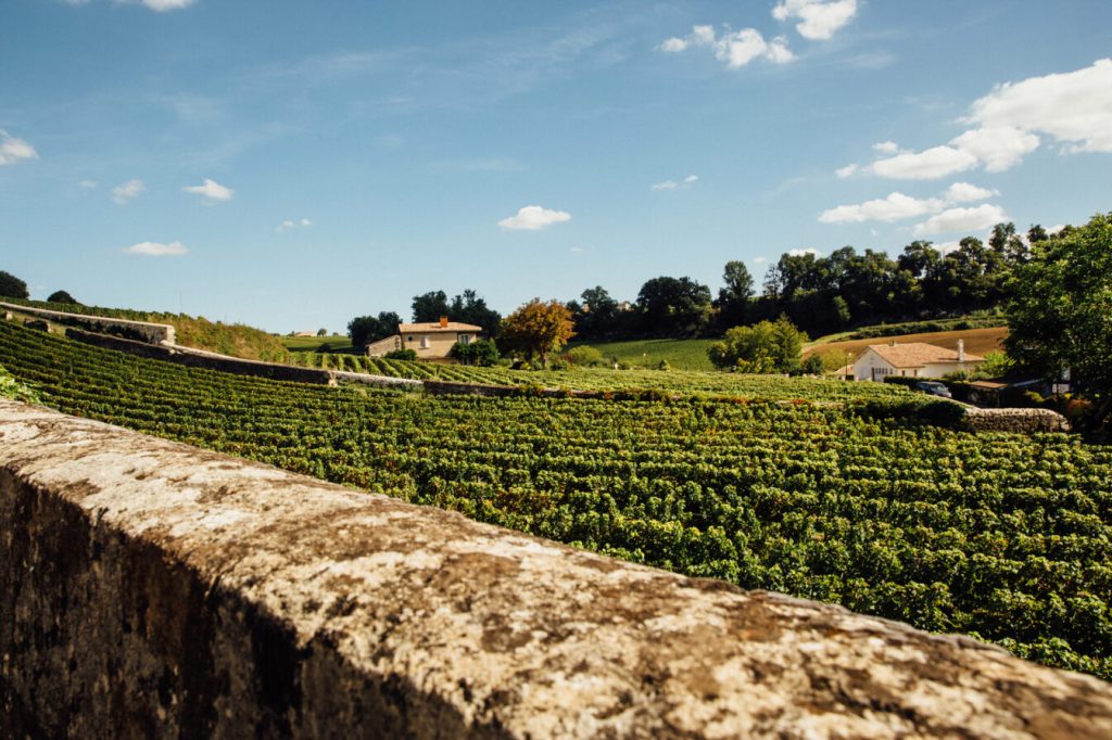 Paysage d'agroforestie. voyager-permet-il-de-prendre-conscience-de-la-crise-climatique