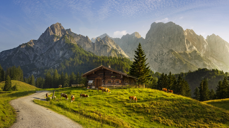 Montagne avec petit chalet et vaches dans les Alpes.