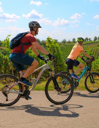 Région Bourgogne-Franche-Comté vignette route vin bourgogne