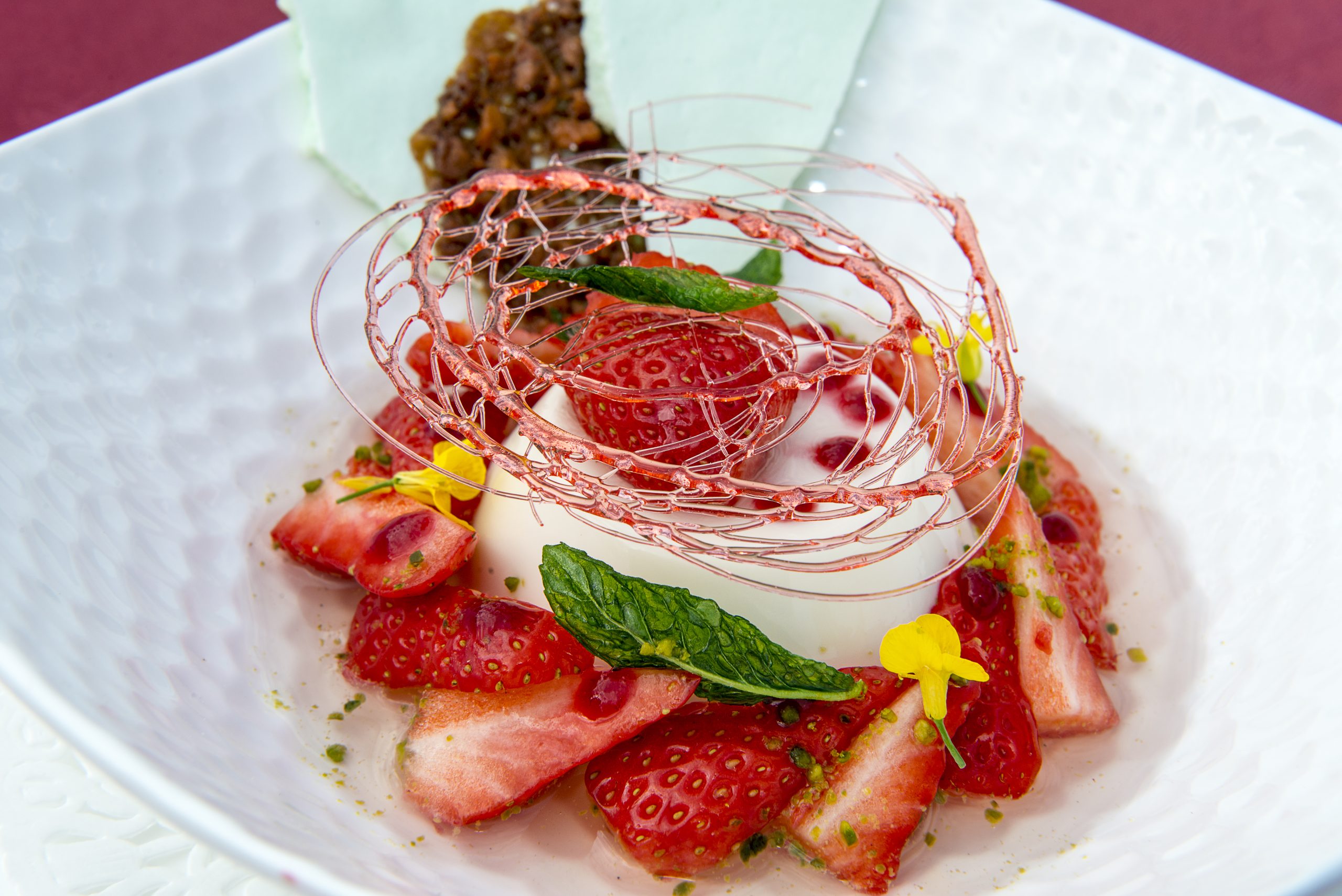 Château de Courban & SPA Nuxe