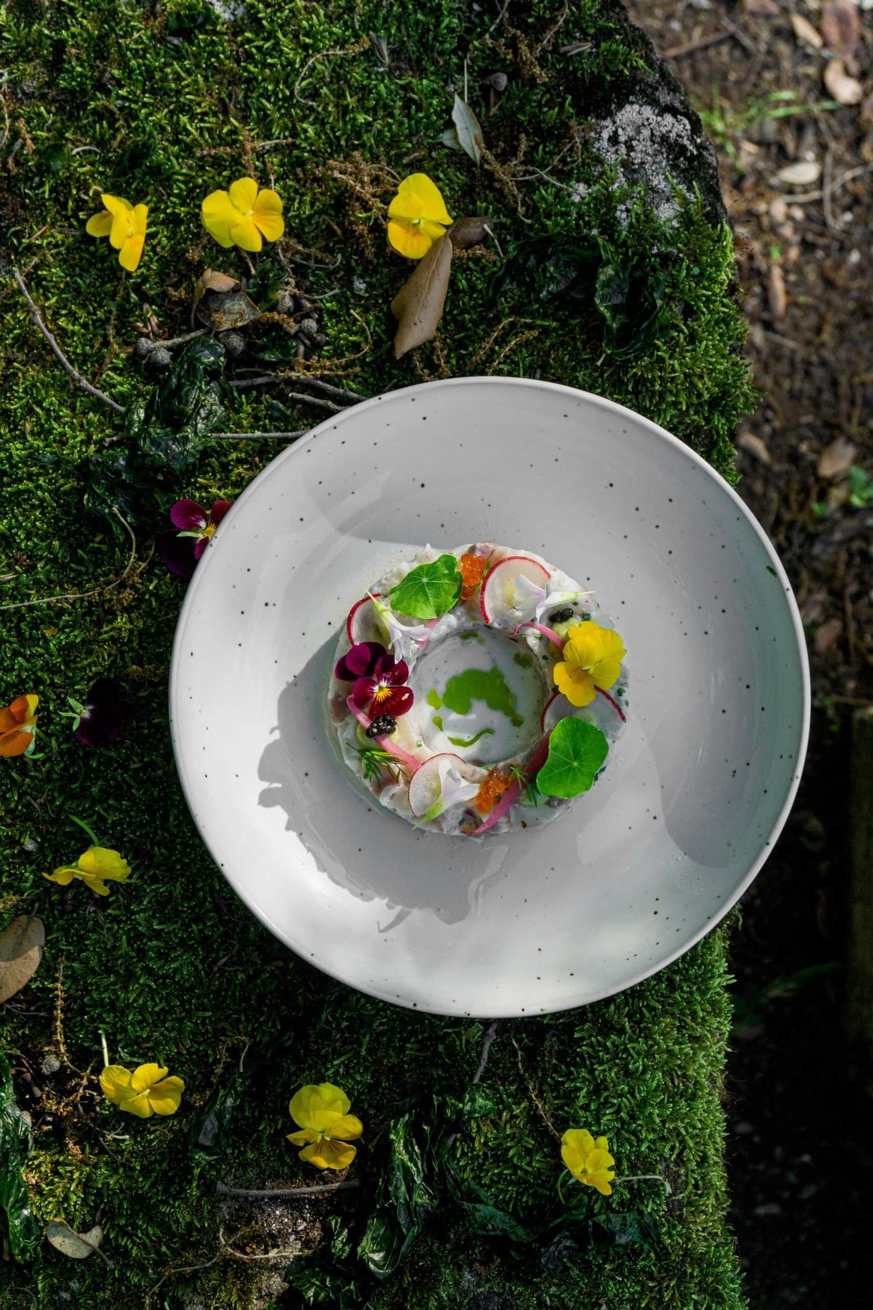 Château des Alpilles