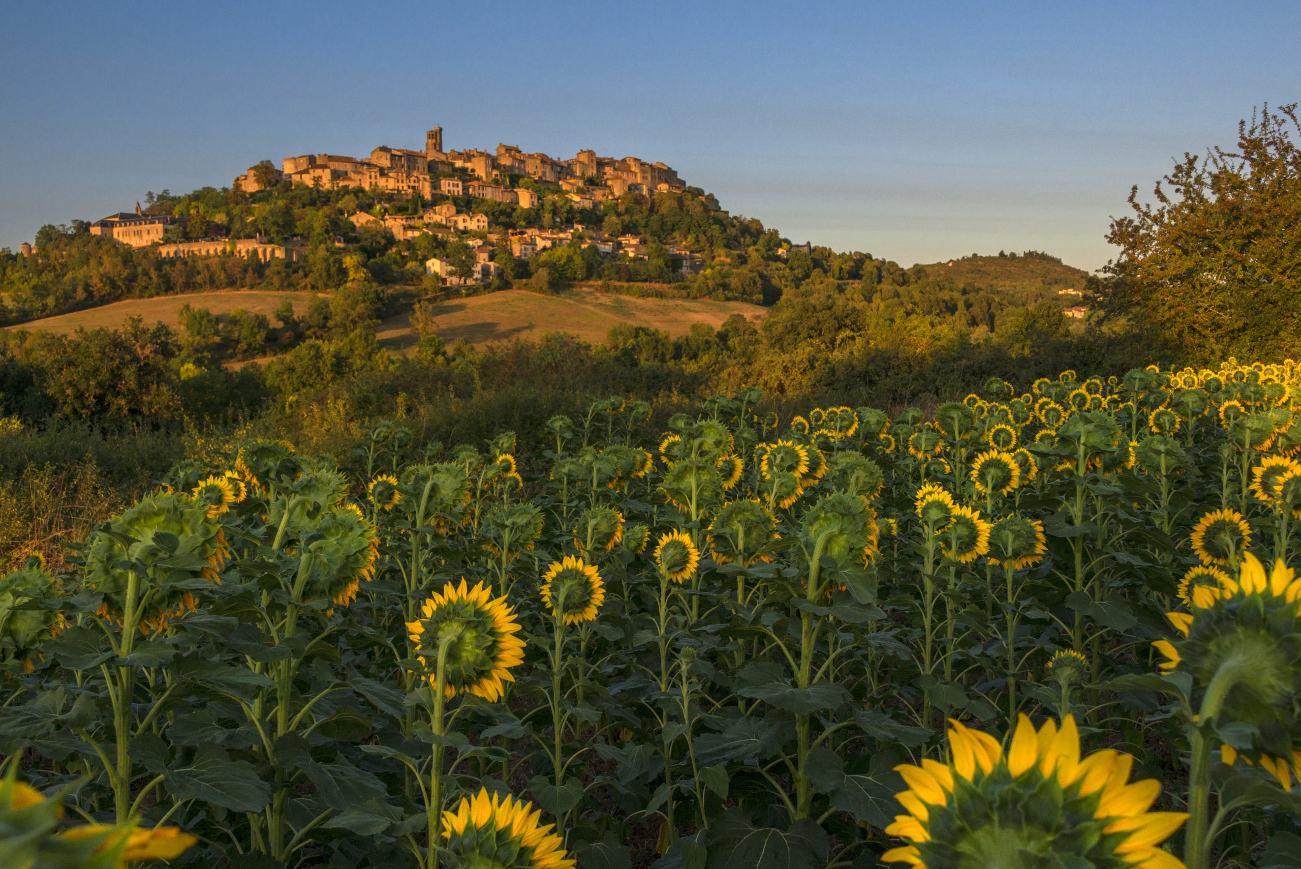 Seminar – Domaine de La Monestarié