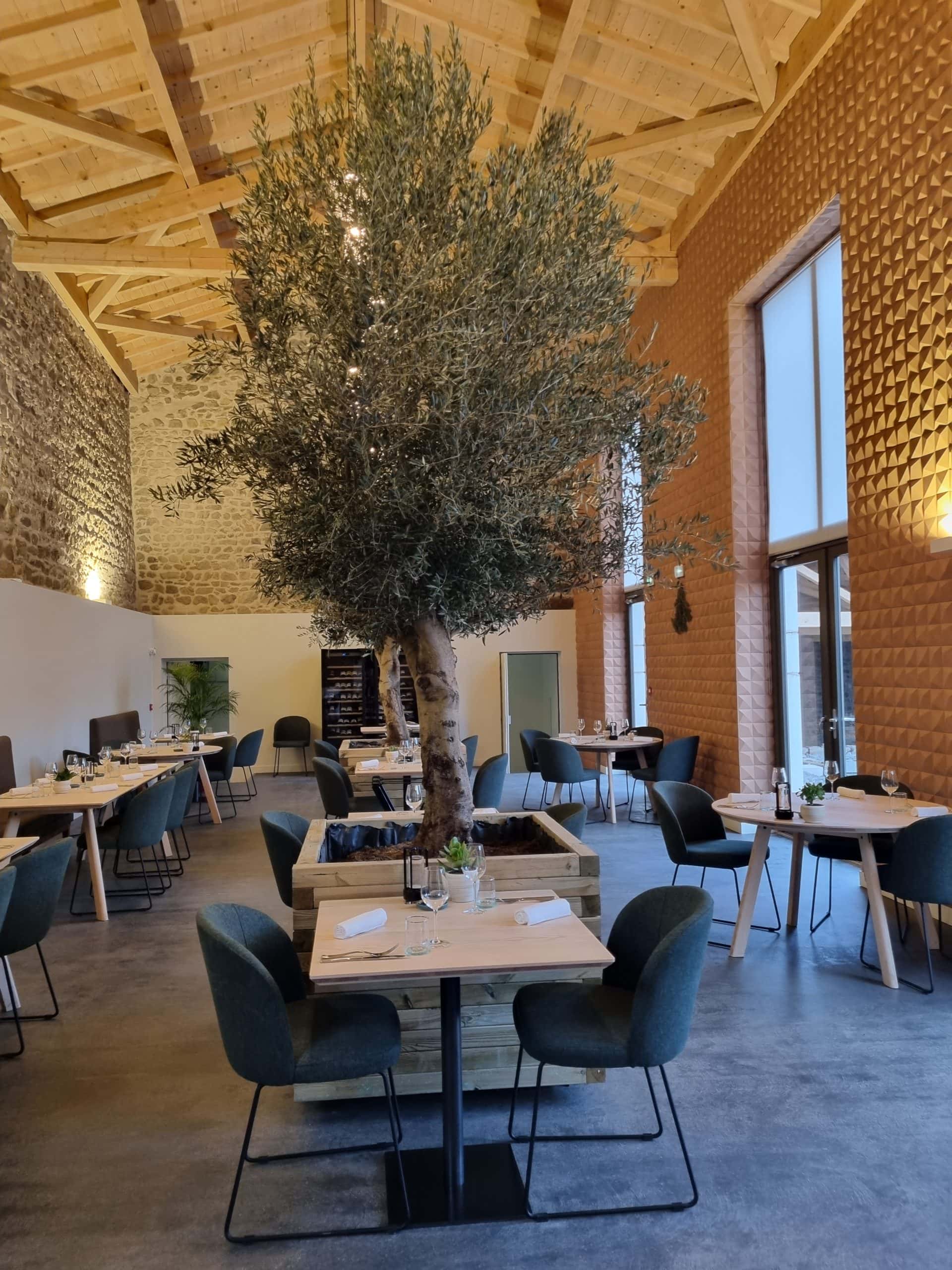 Restaurant Bistronomique L’Oliveraie