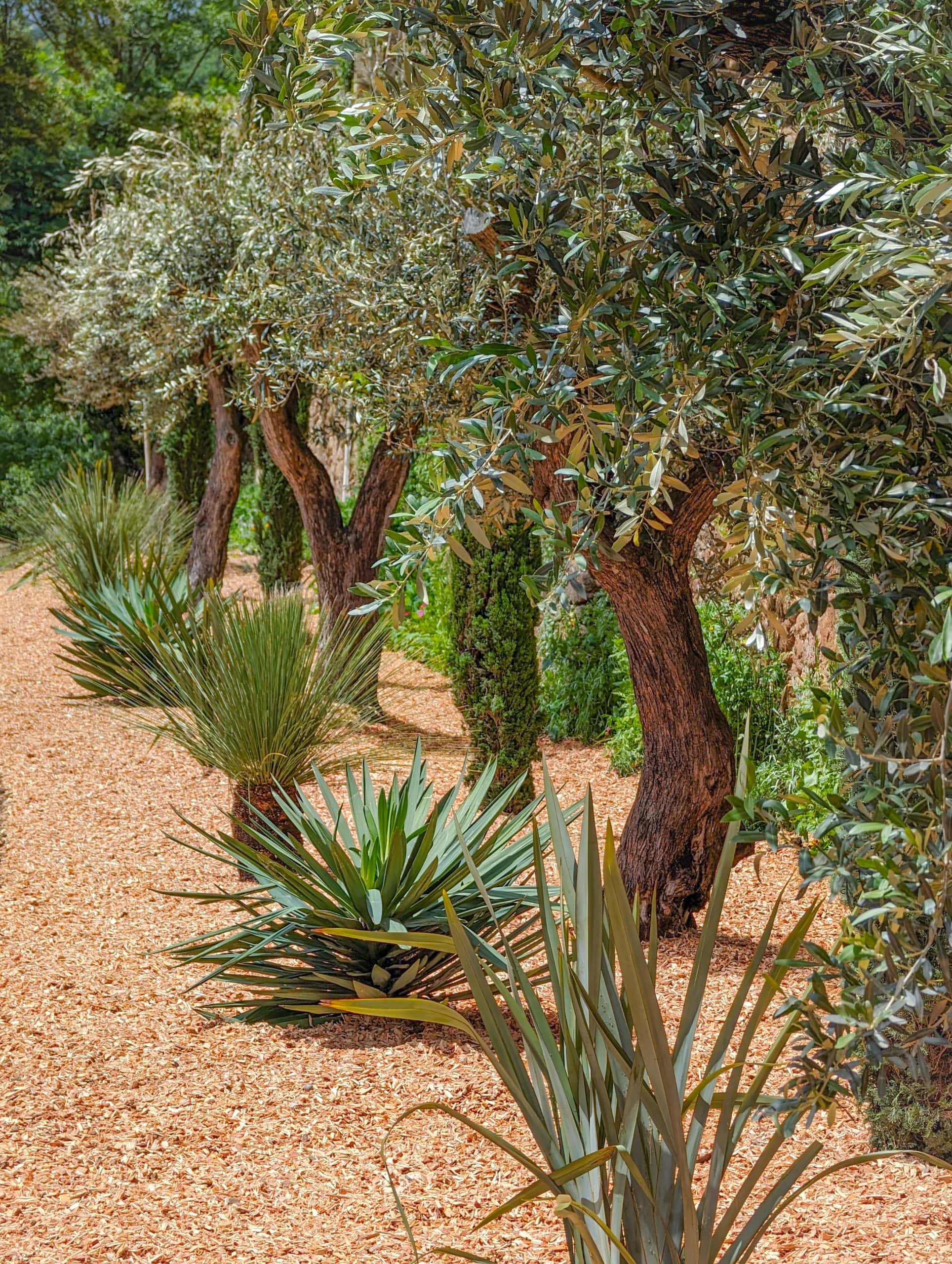 Restaurant Bistronomique L’Oliveraie