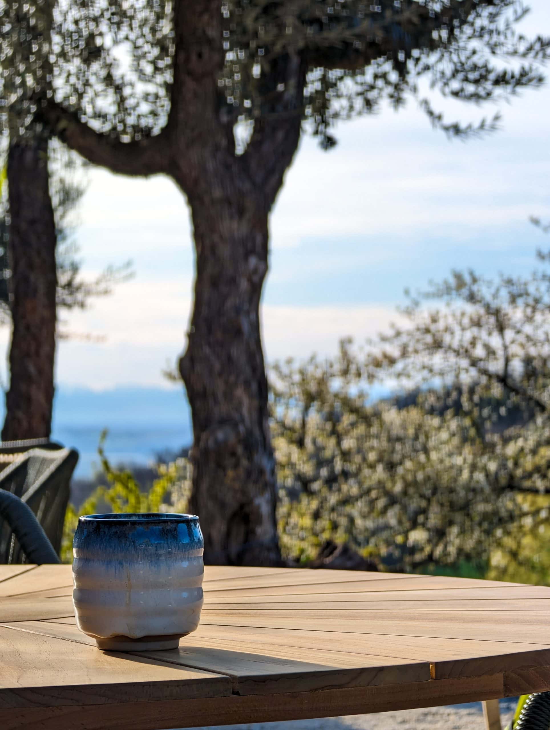 Restaurant Bistronomique L’Oliveraie