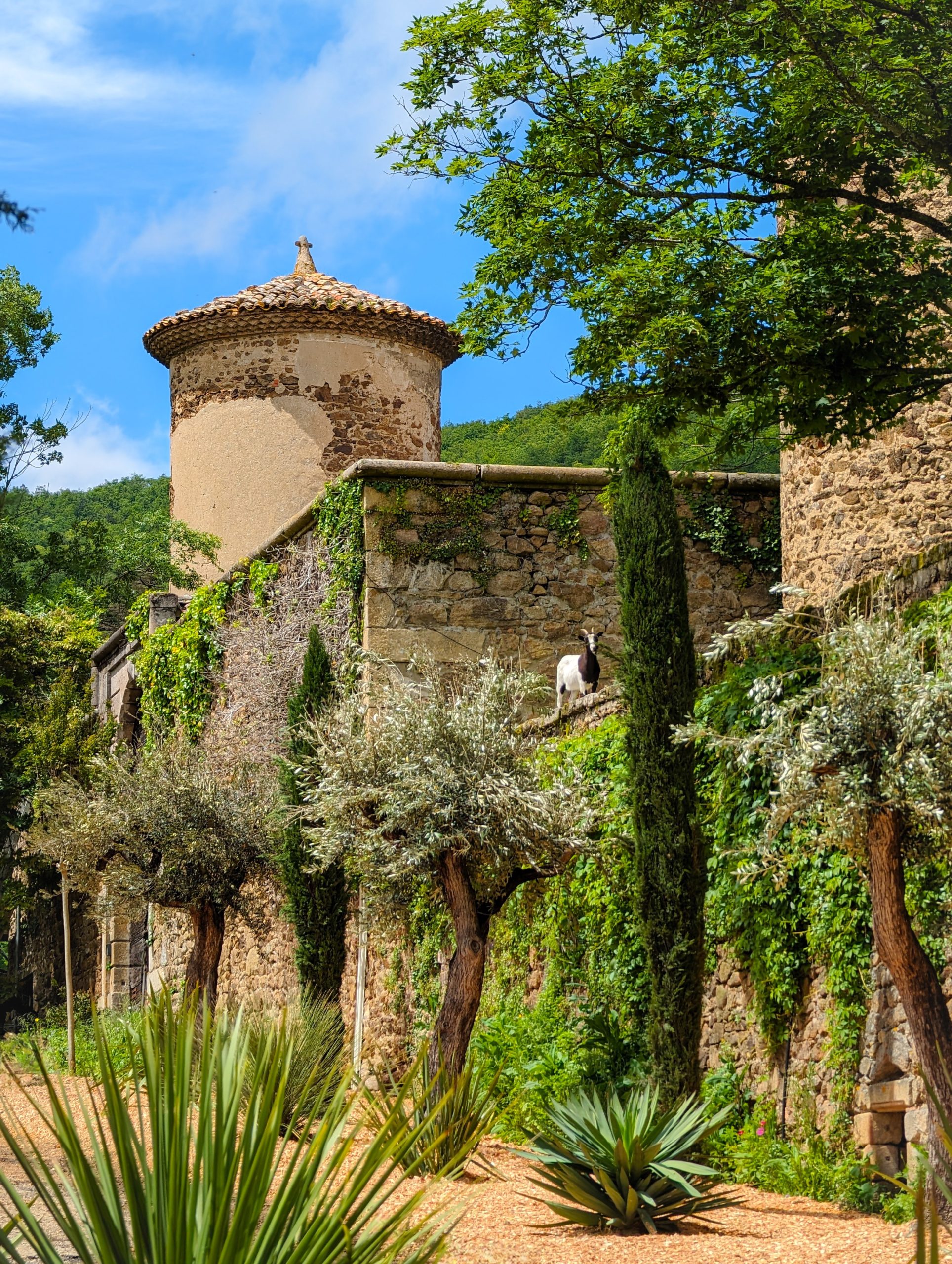 Jardin