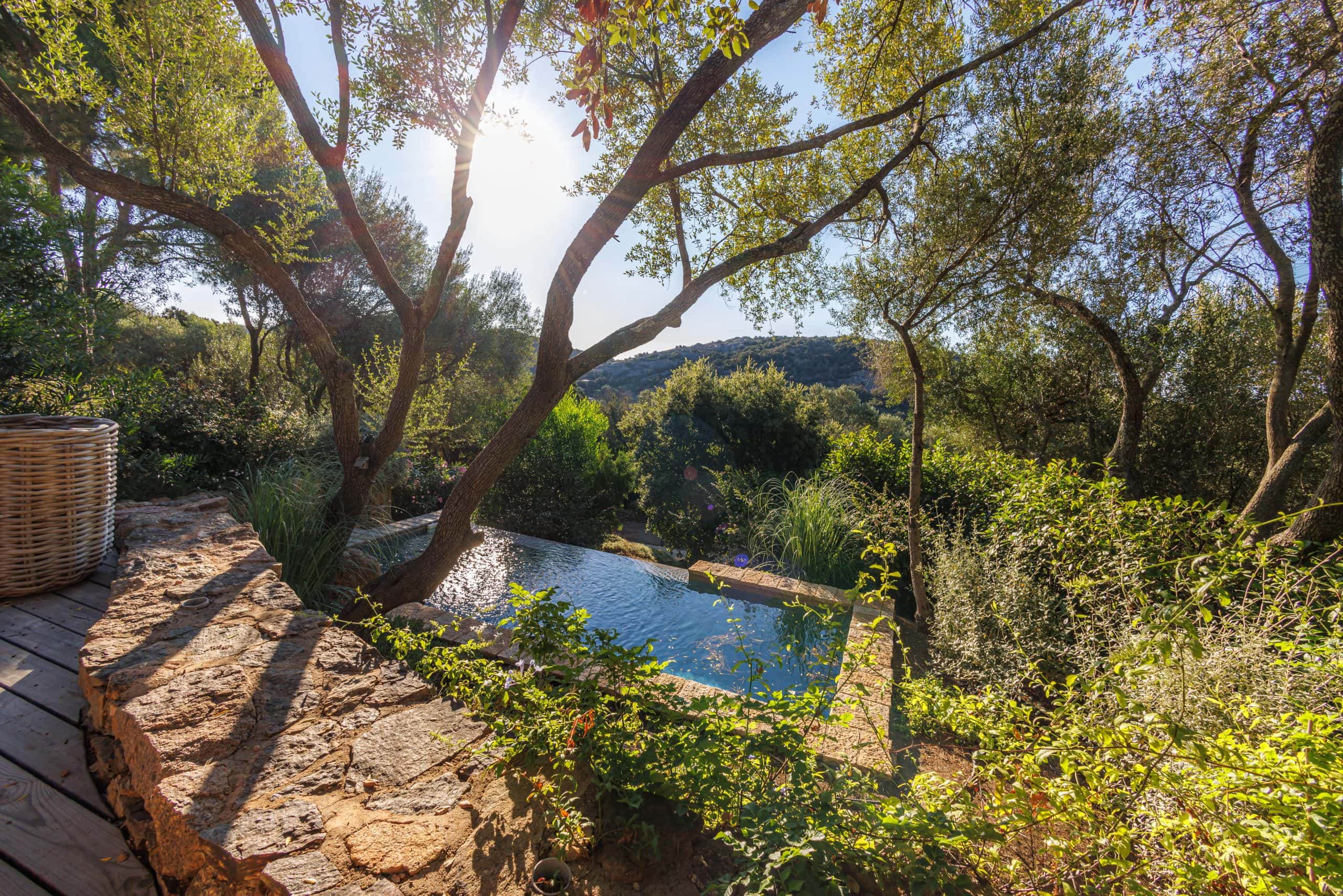 Les Oliviers de Palombaggia