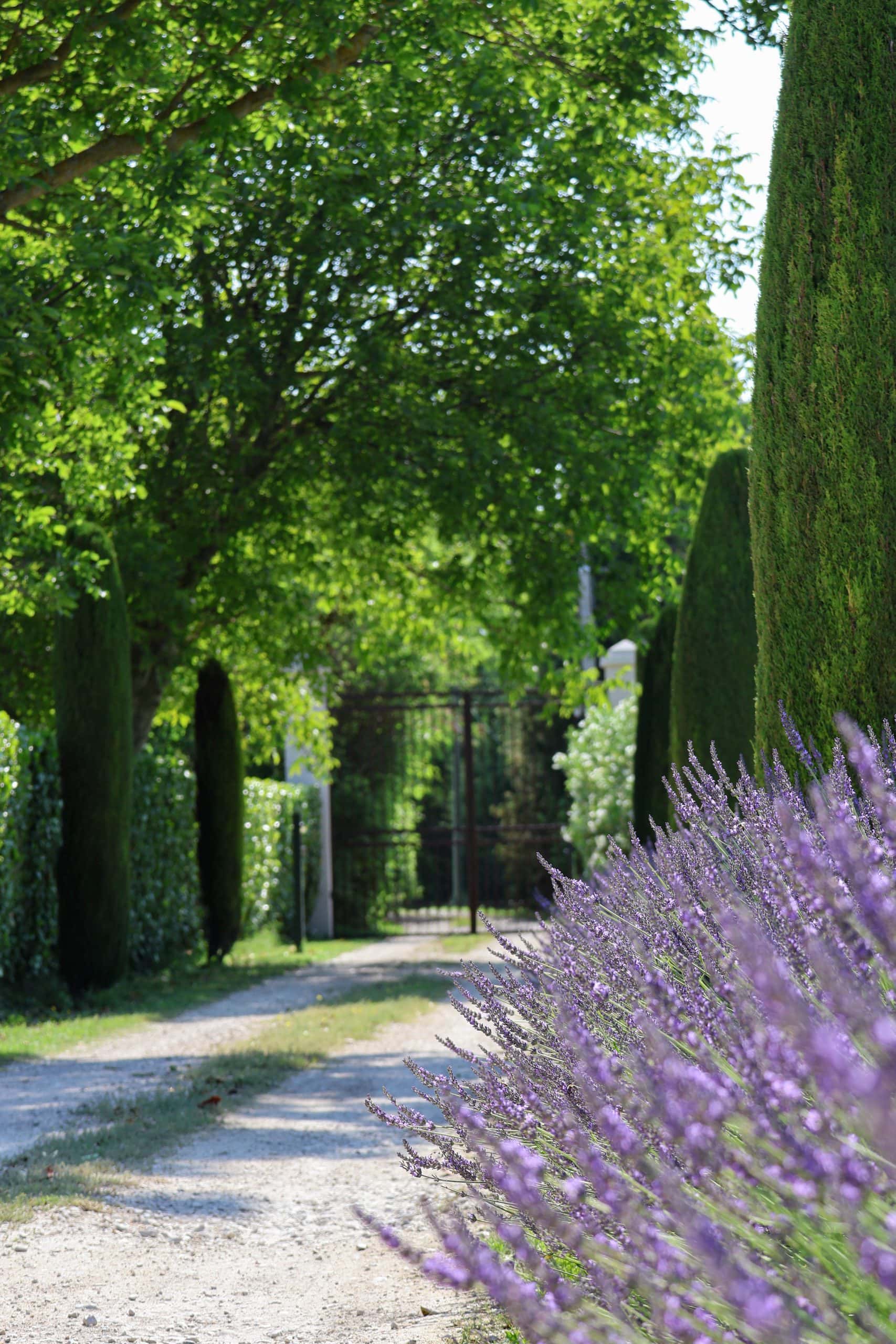 Domaine du Moulin de Villefranche